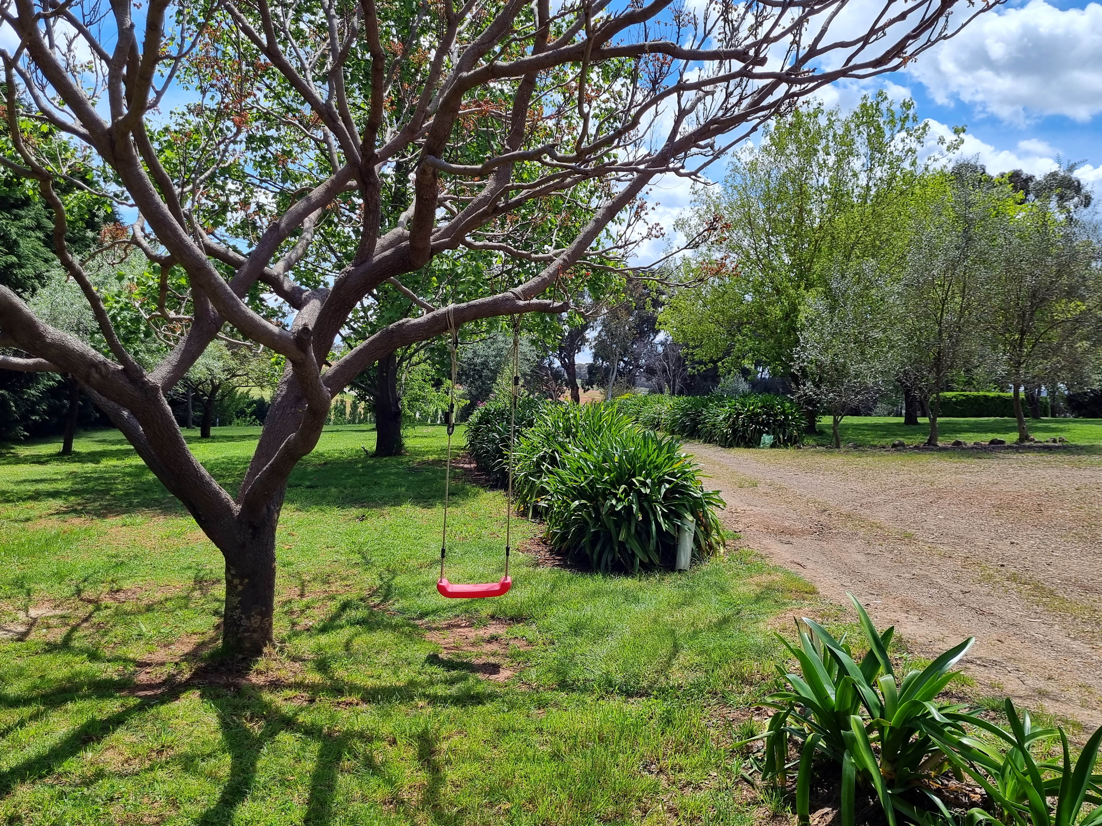 Kid tree swing along the driveway to house (western side of house)