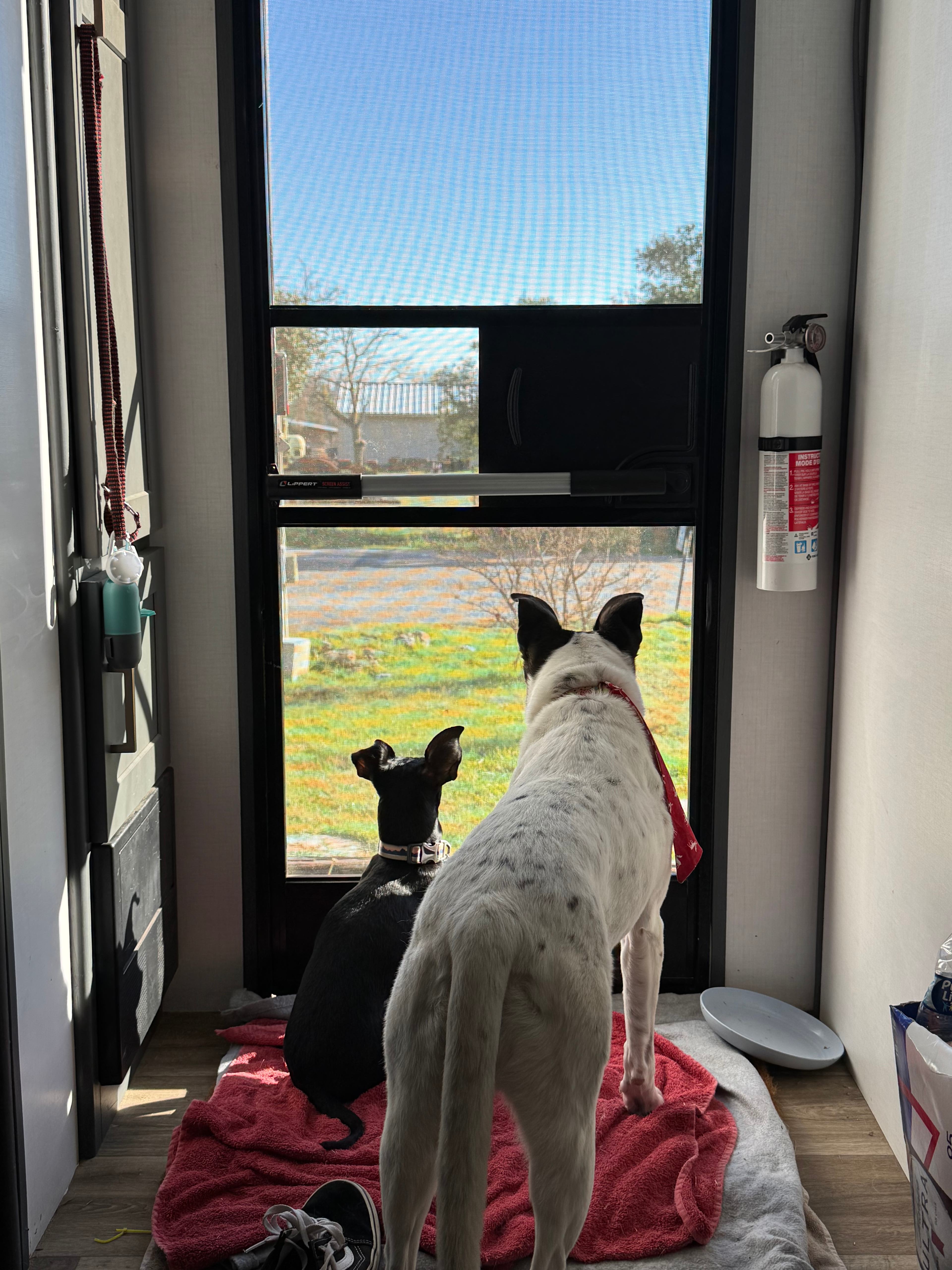 Friends In RV Spaces