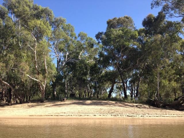There is a beautiful swimming beach a 2 minute drive (or short bike ride) into the national park