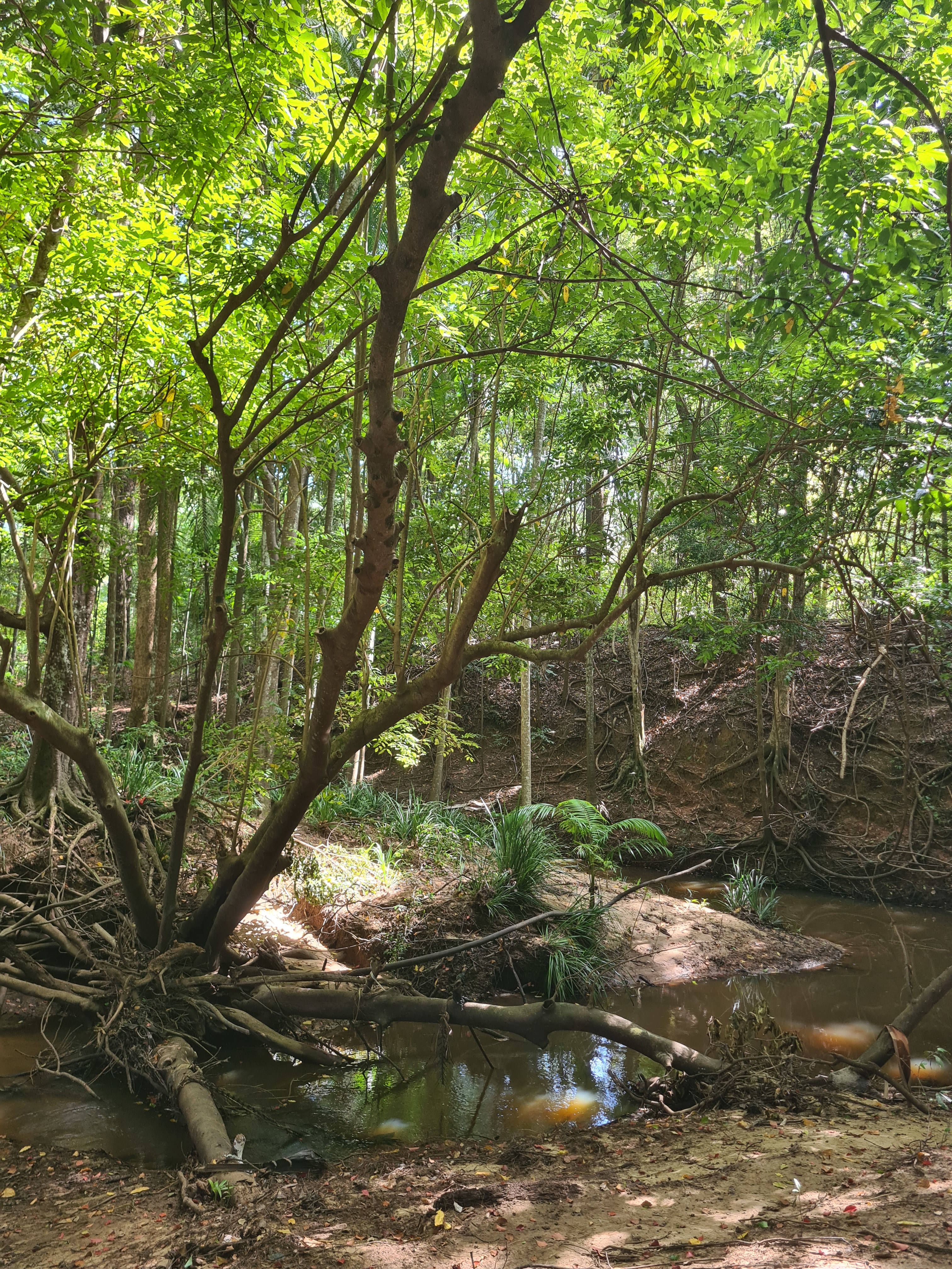 Highland Haven - Eudlo