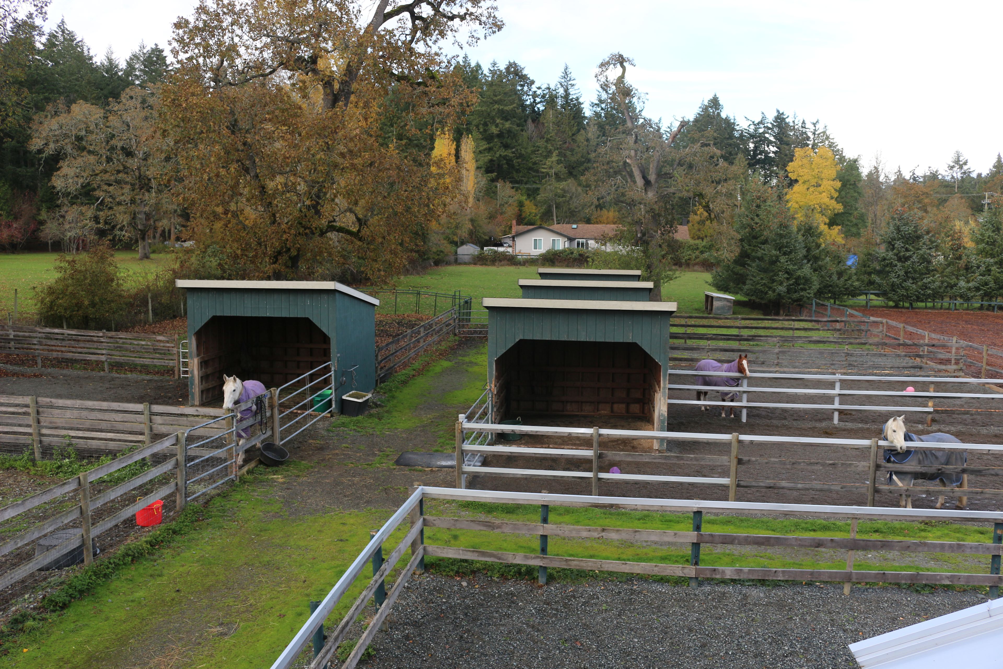 West Coast Retreat at Anneth Farm