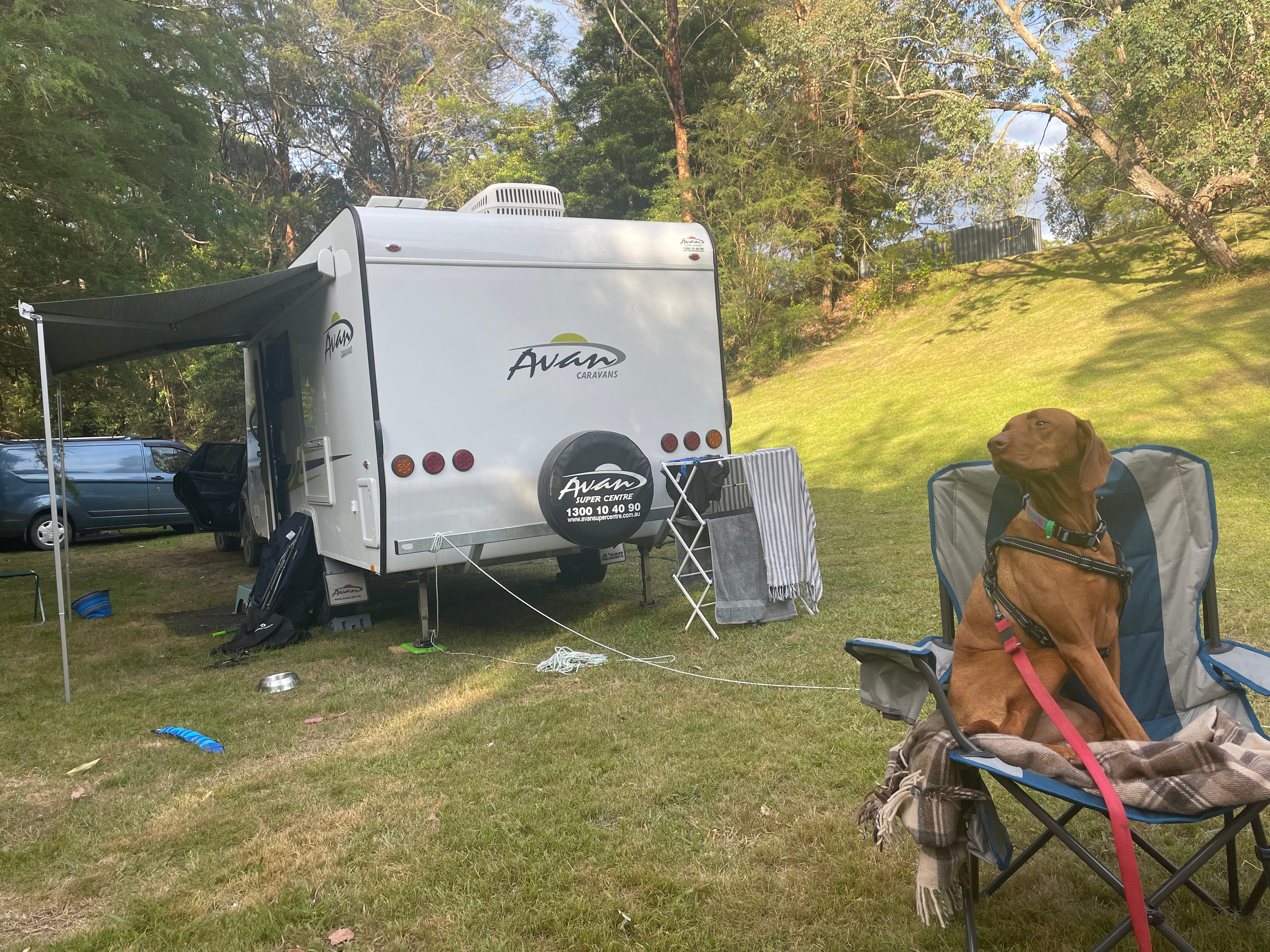 The Old Blackwood Mill