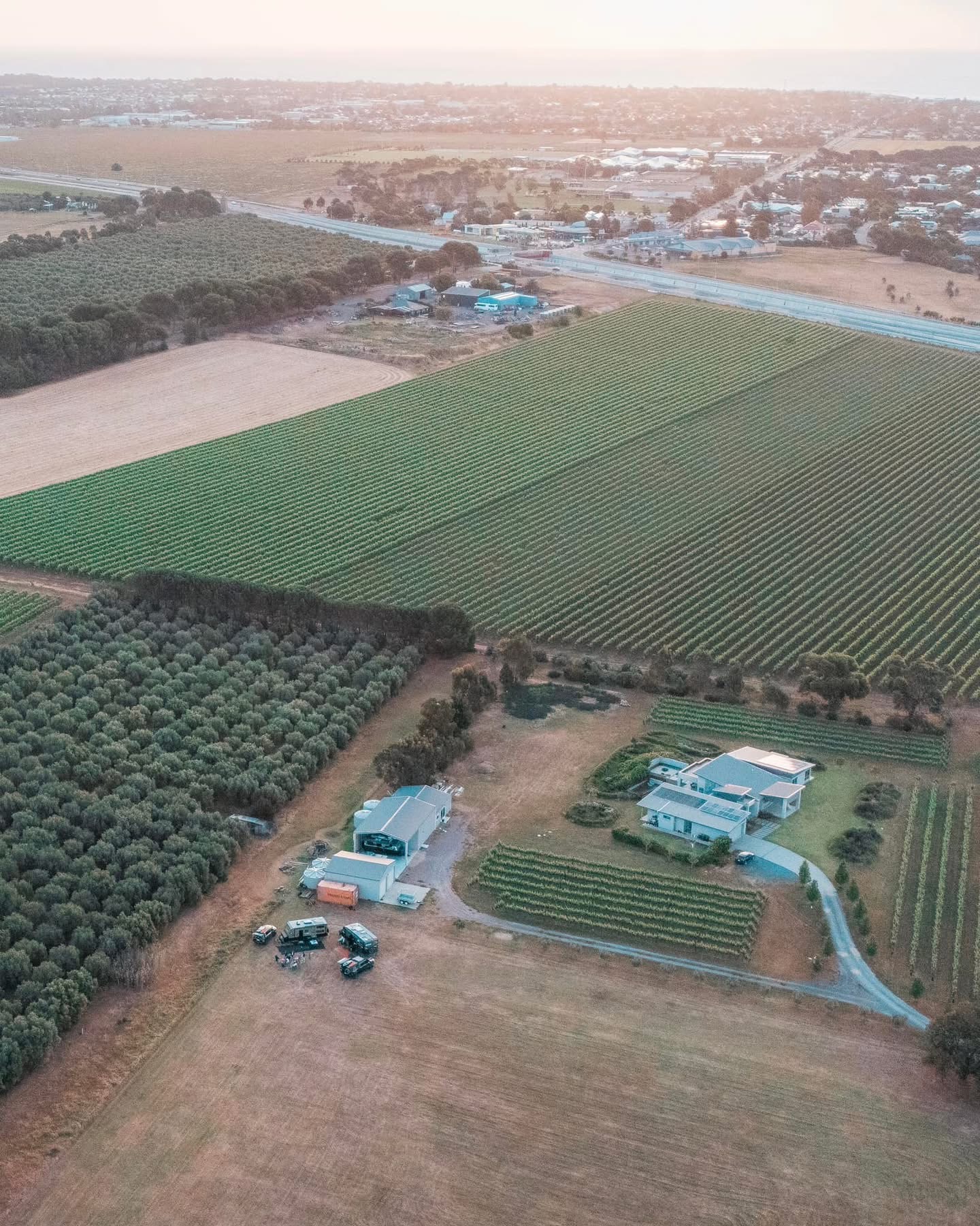 Six Strings - McLaren Vale Vineyard