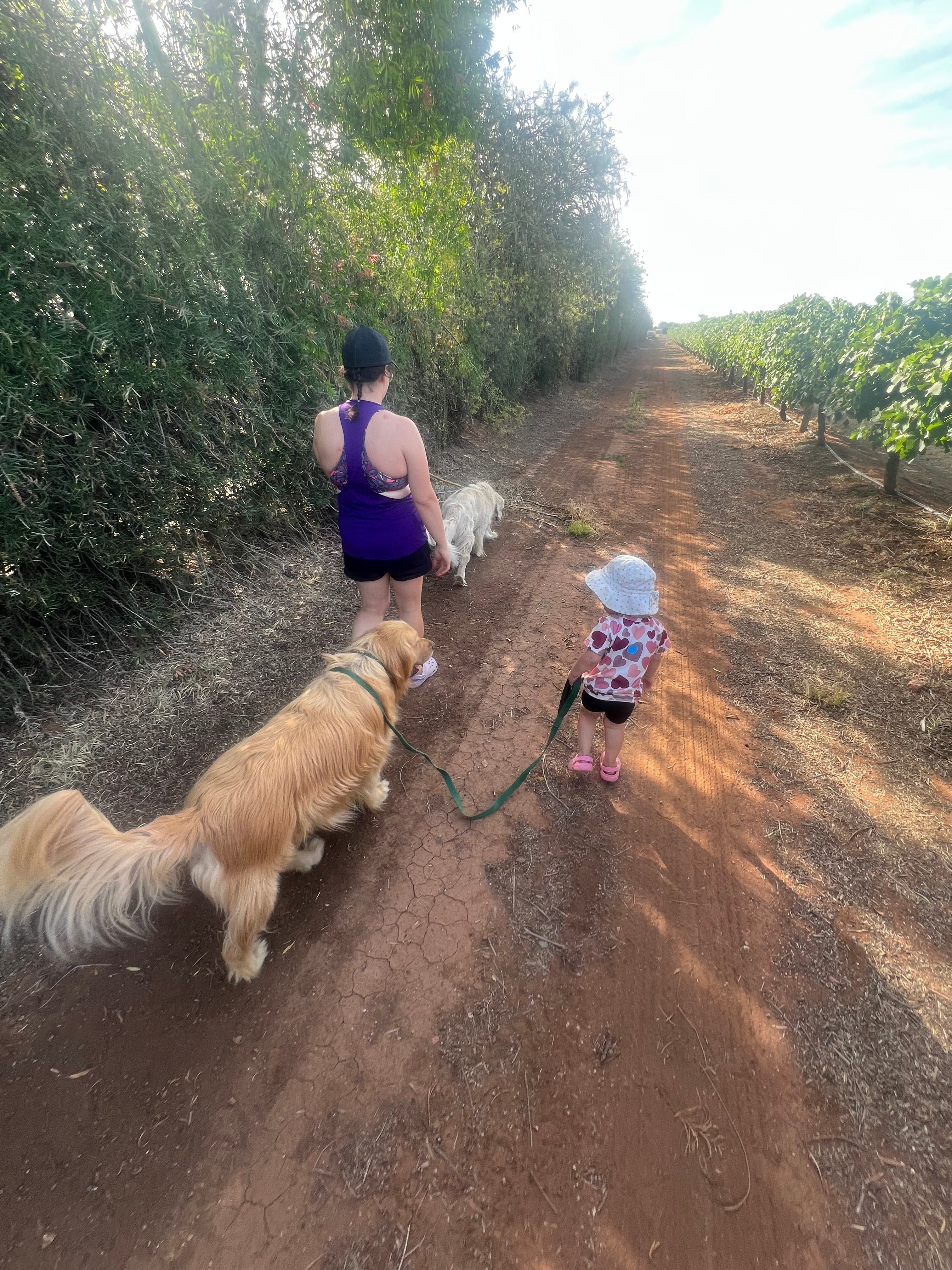 Catania Fruit Salad Farm