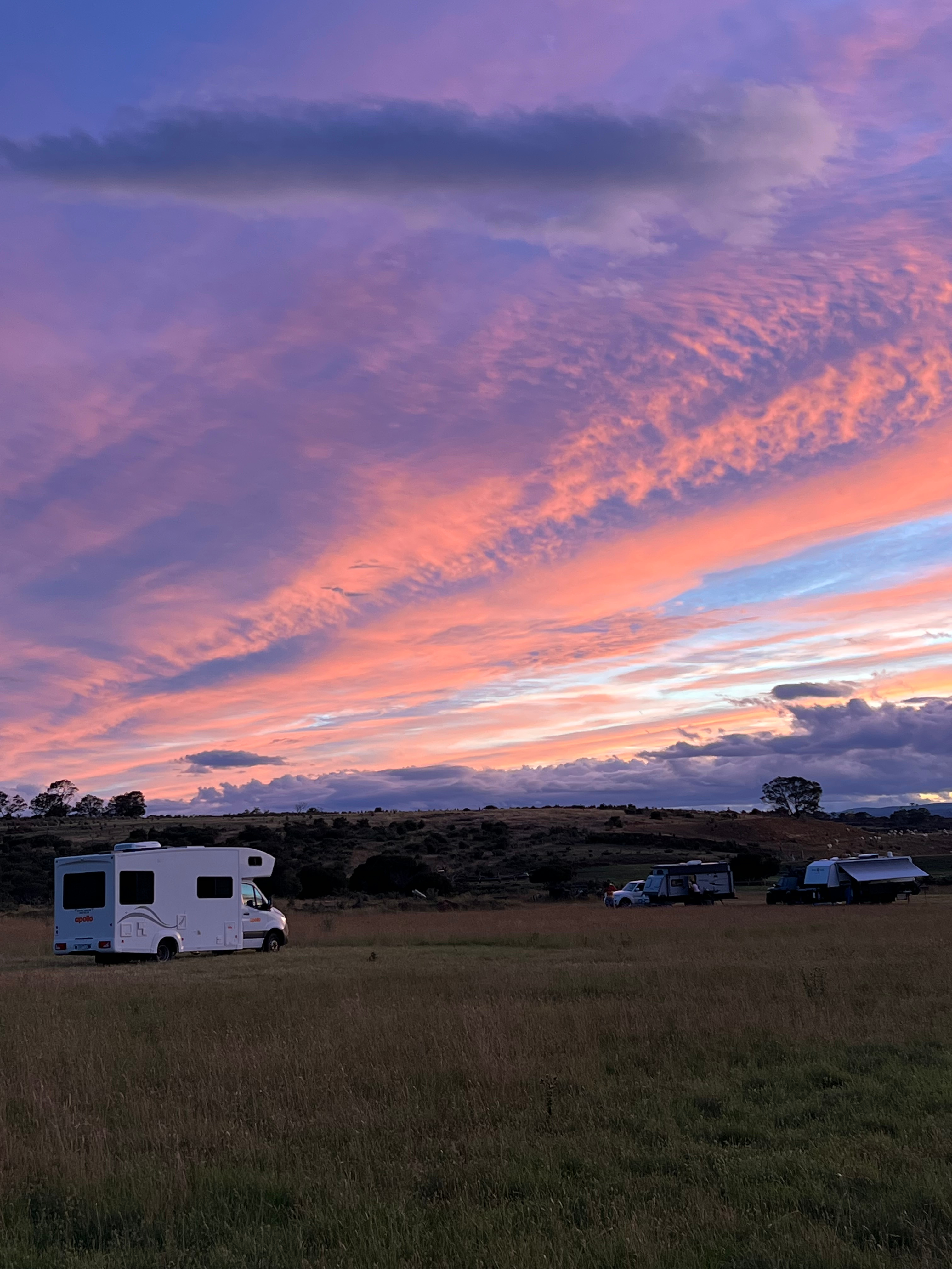 Craigie Knowe Vineyard