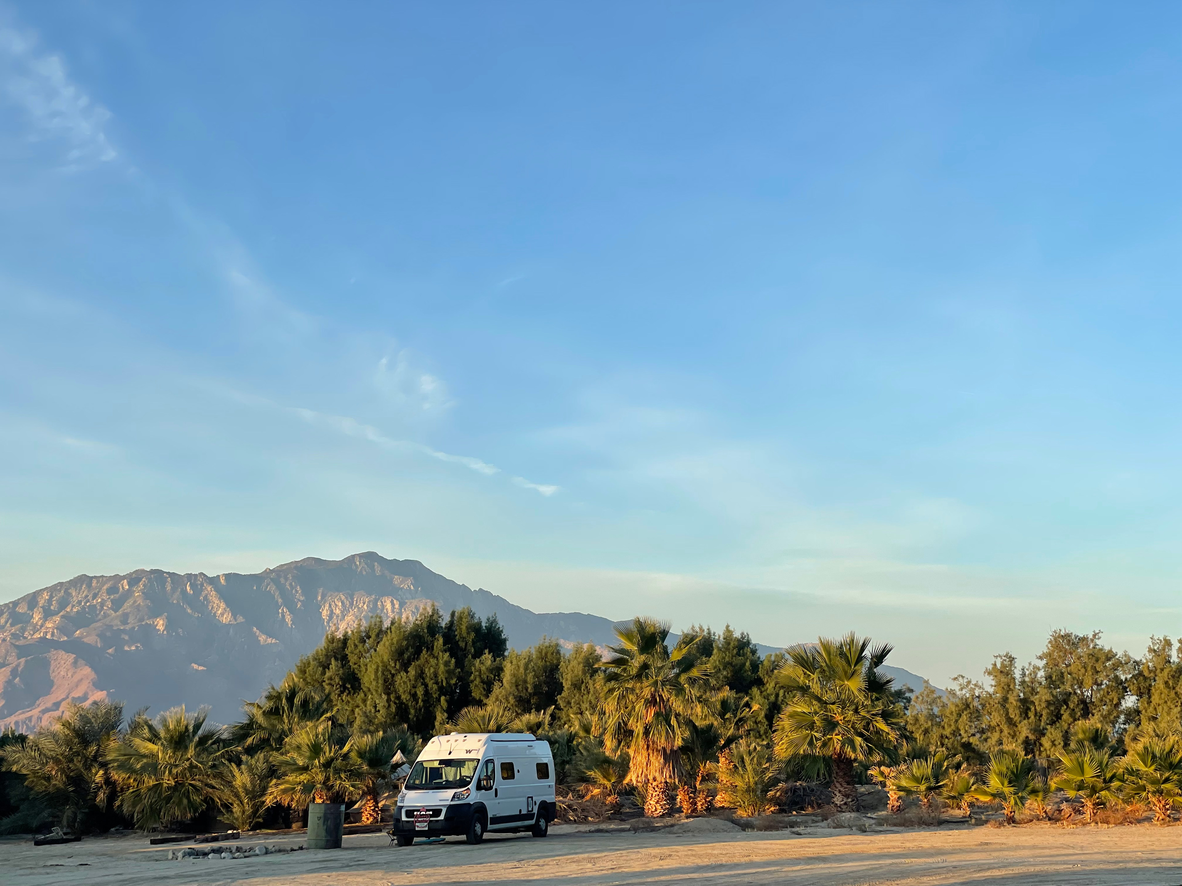 Mineral Spring Date Farm