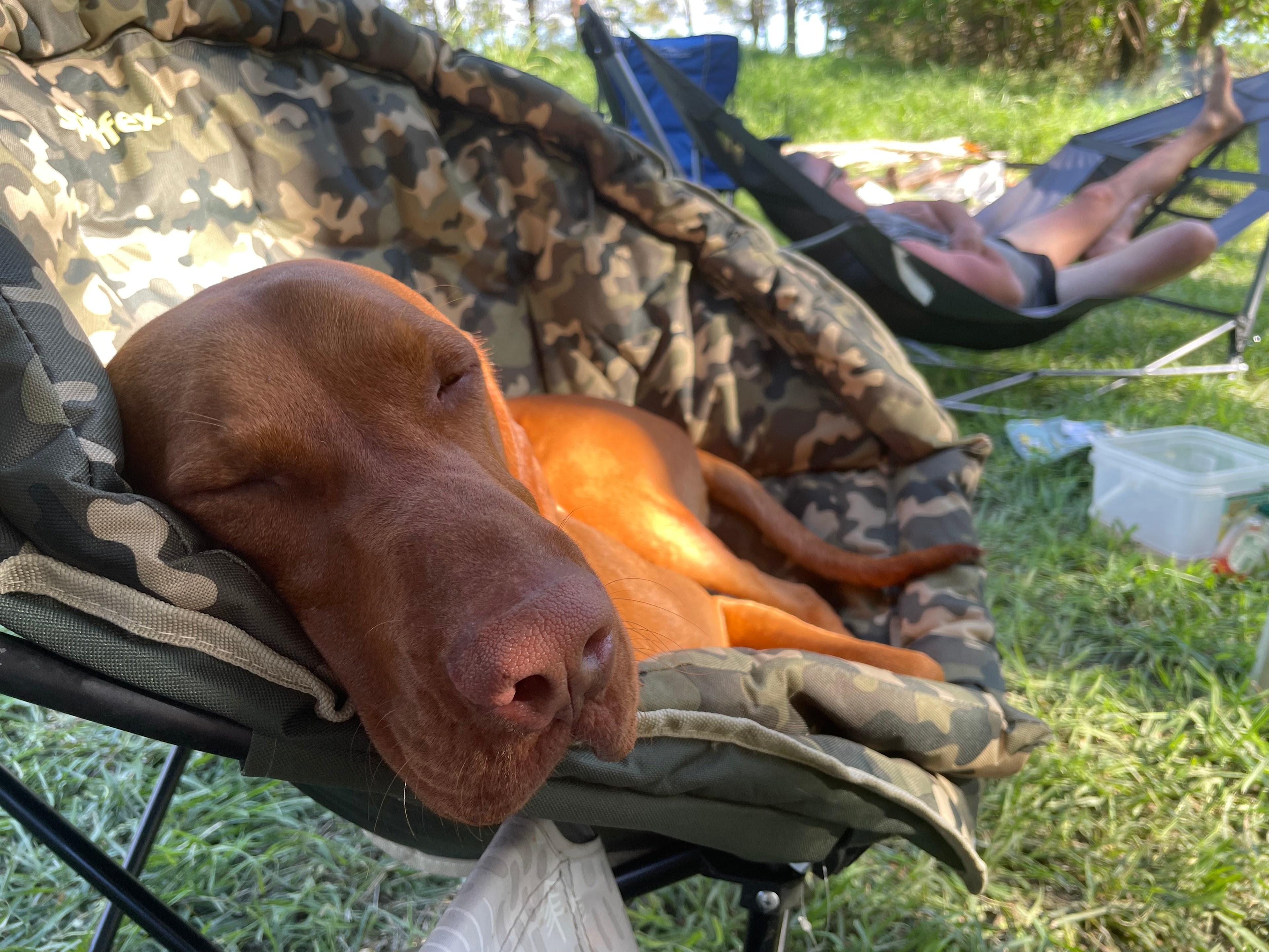 Camp By The Billabong