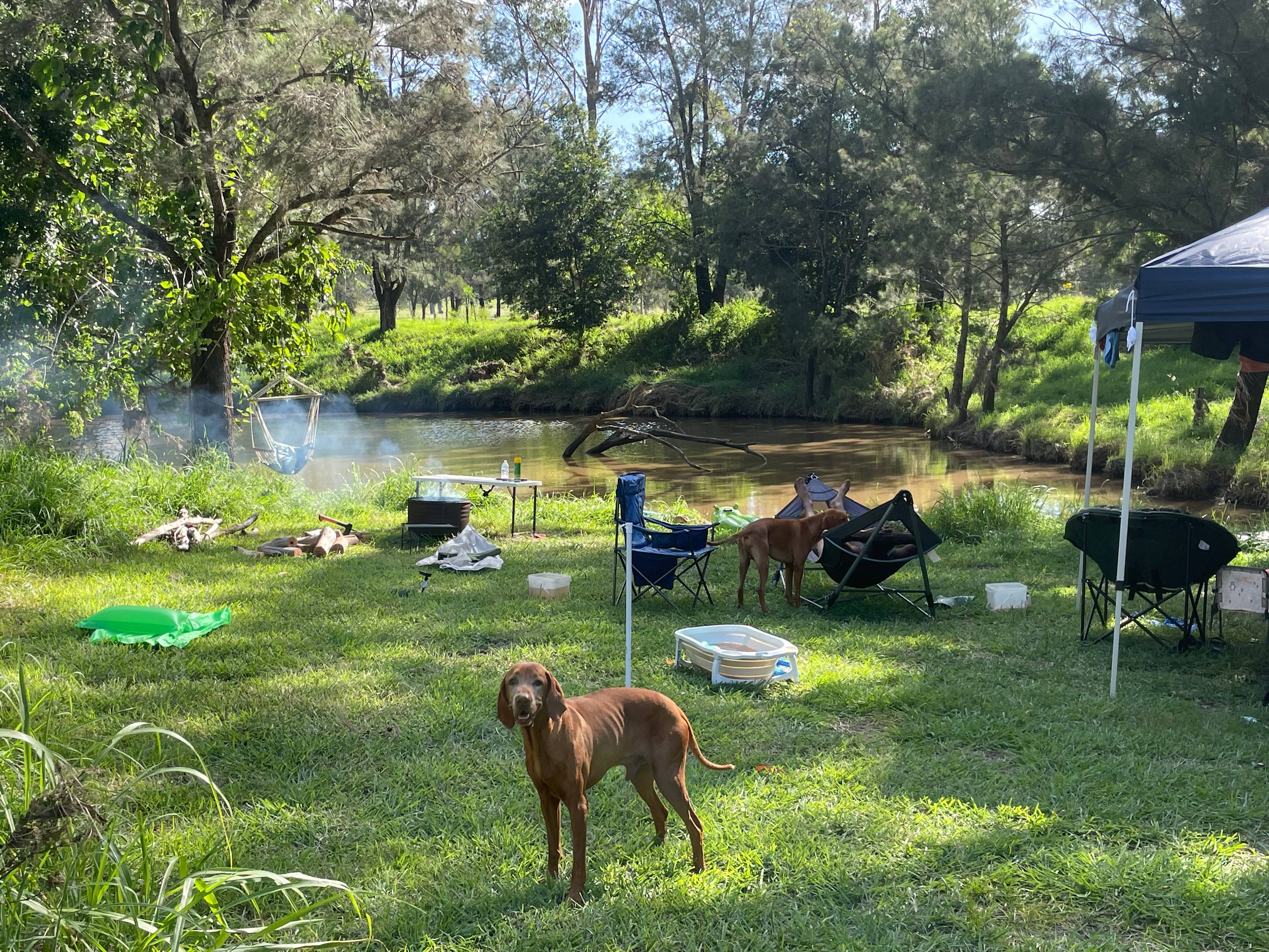 Camp By The Billabong