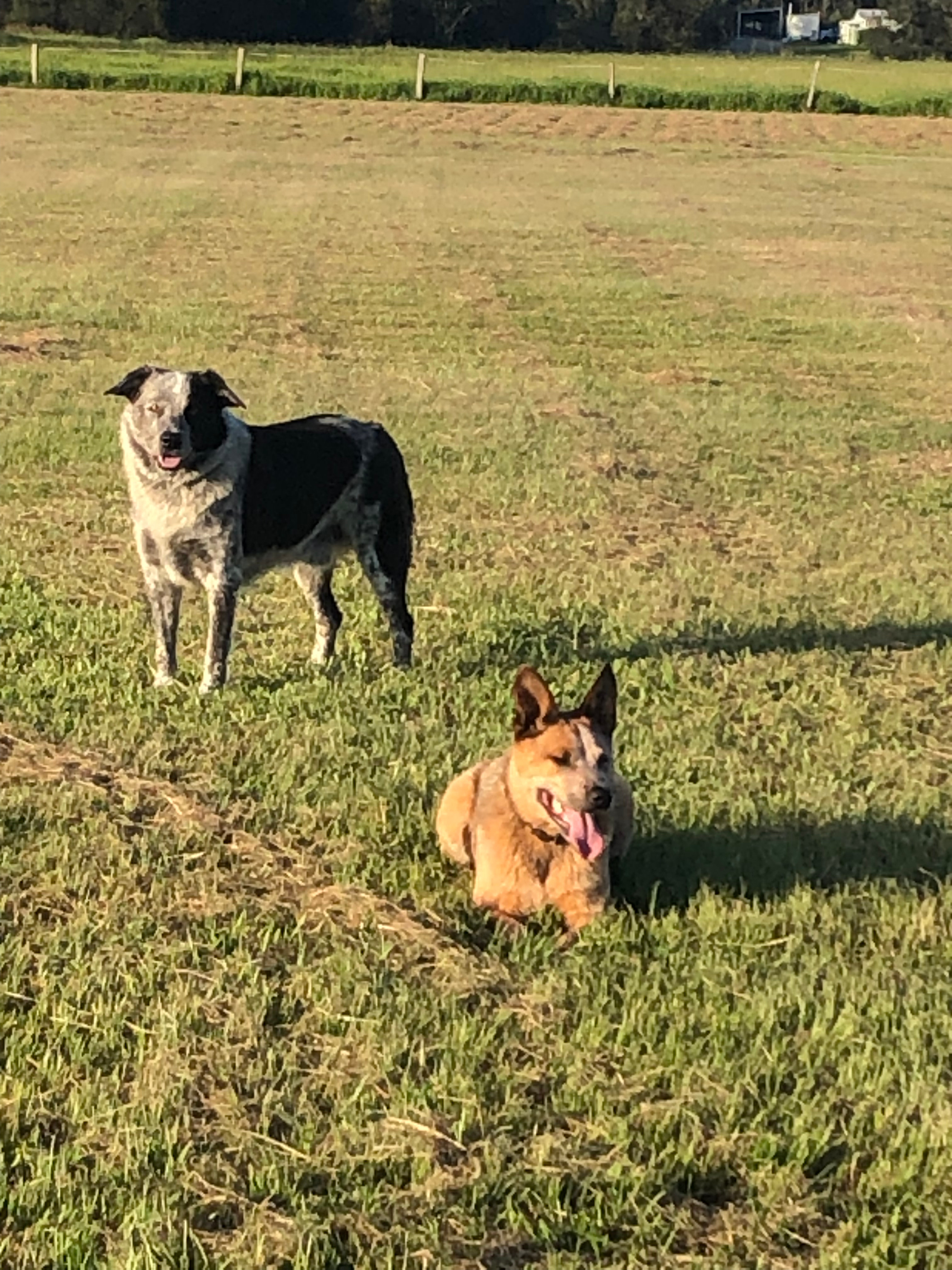 Clarence Events  and Camping