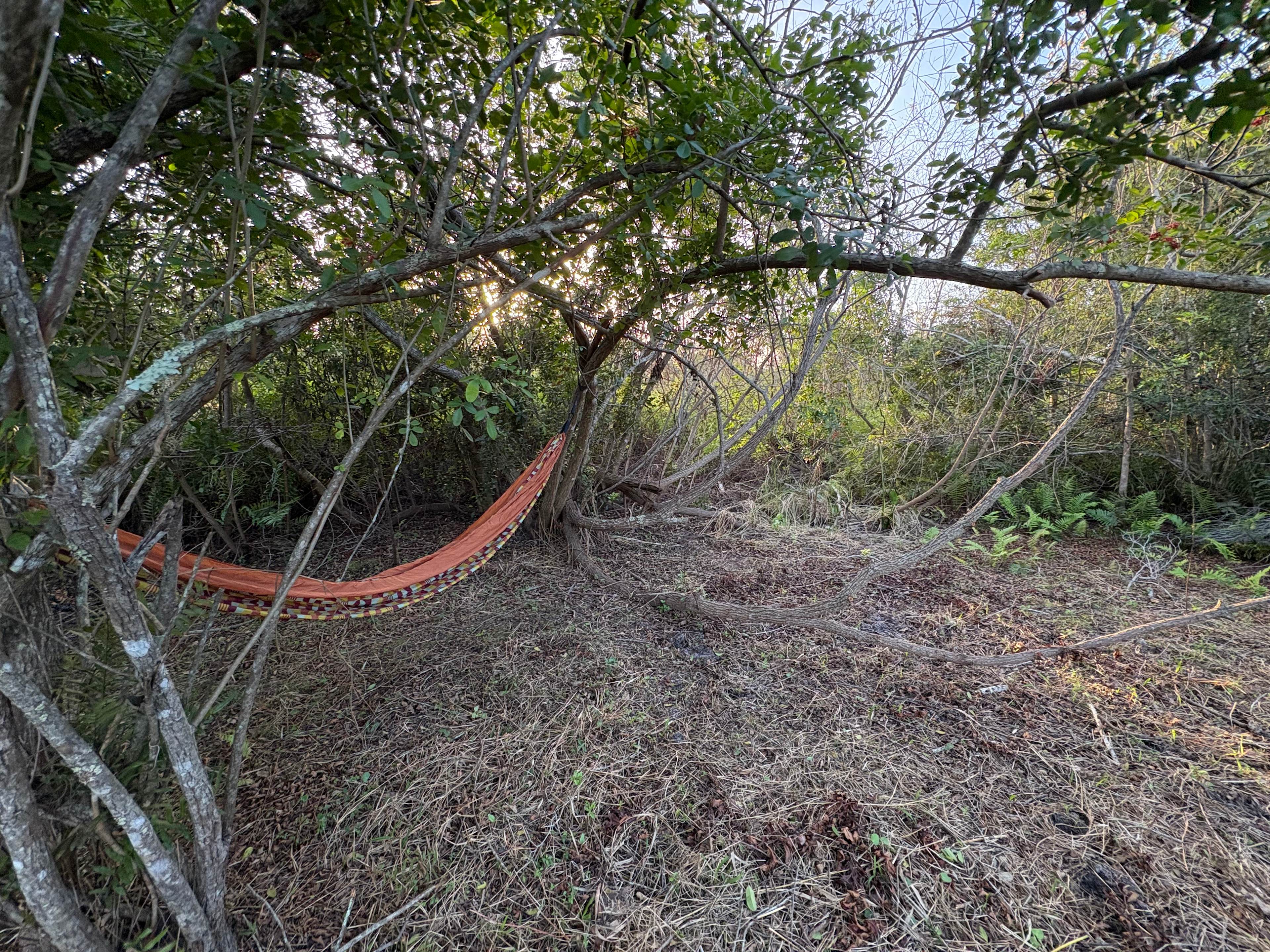 Wonderland Camping. Music and Arts