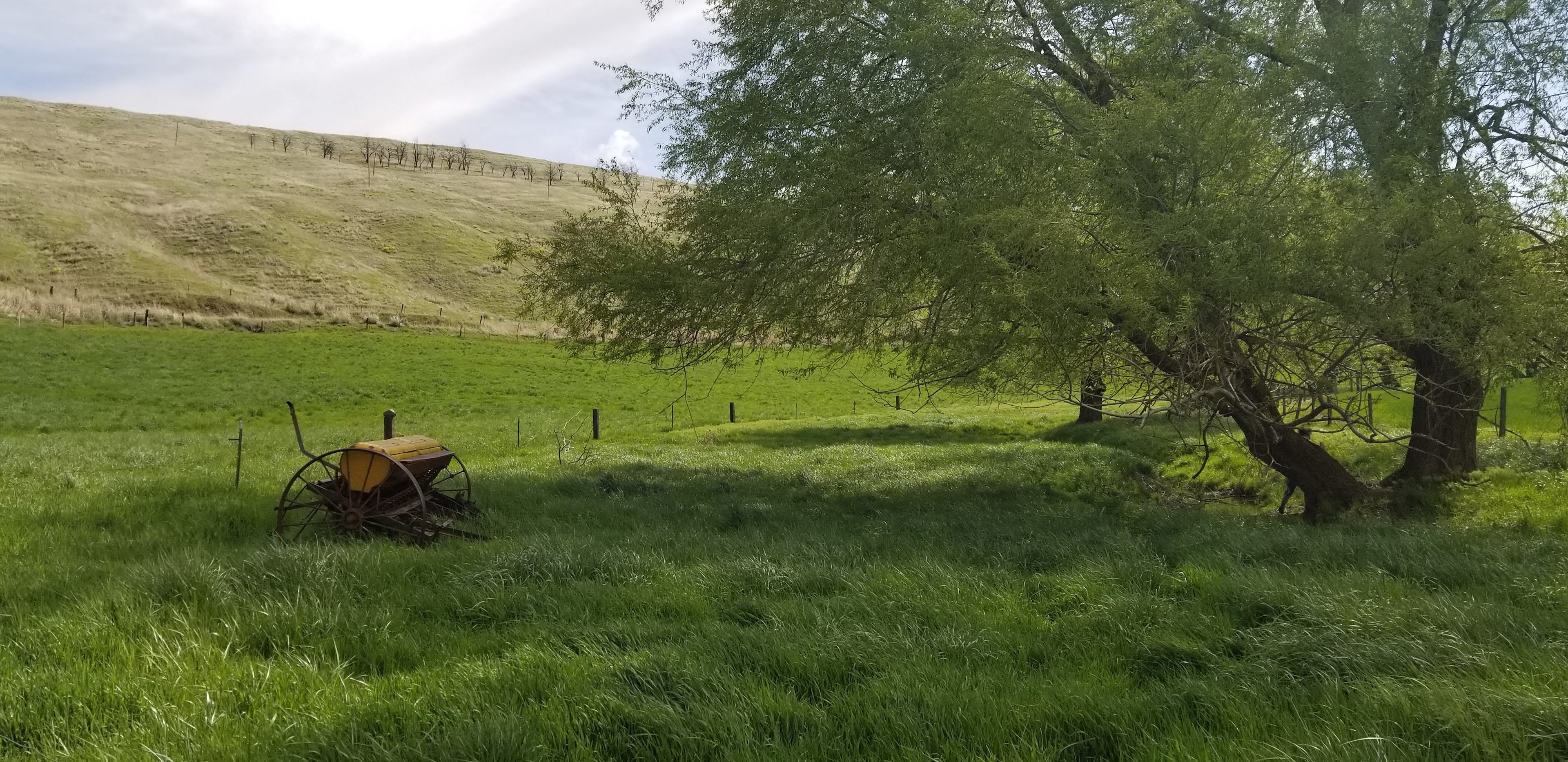 DeLong Family Farm