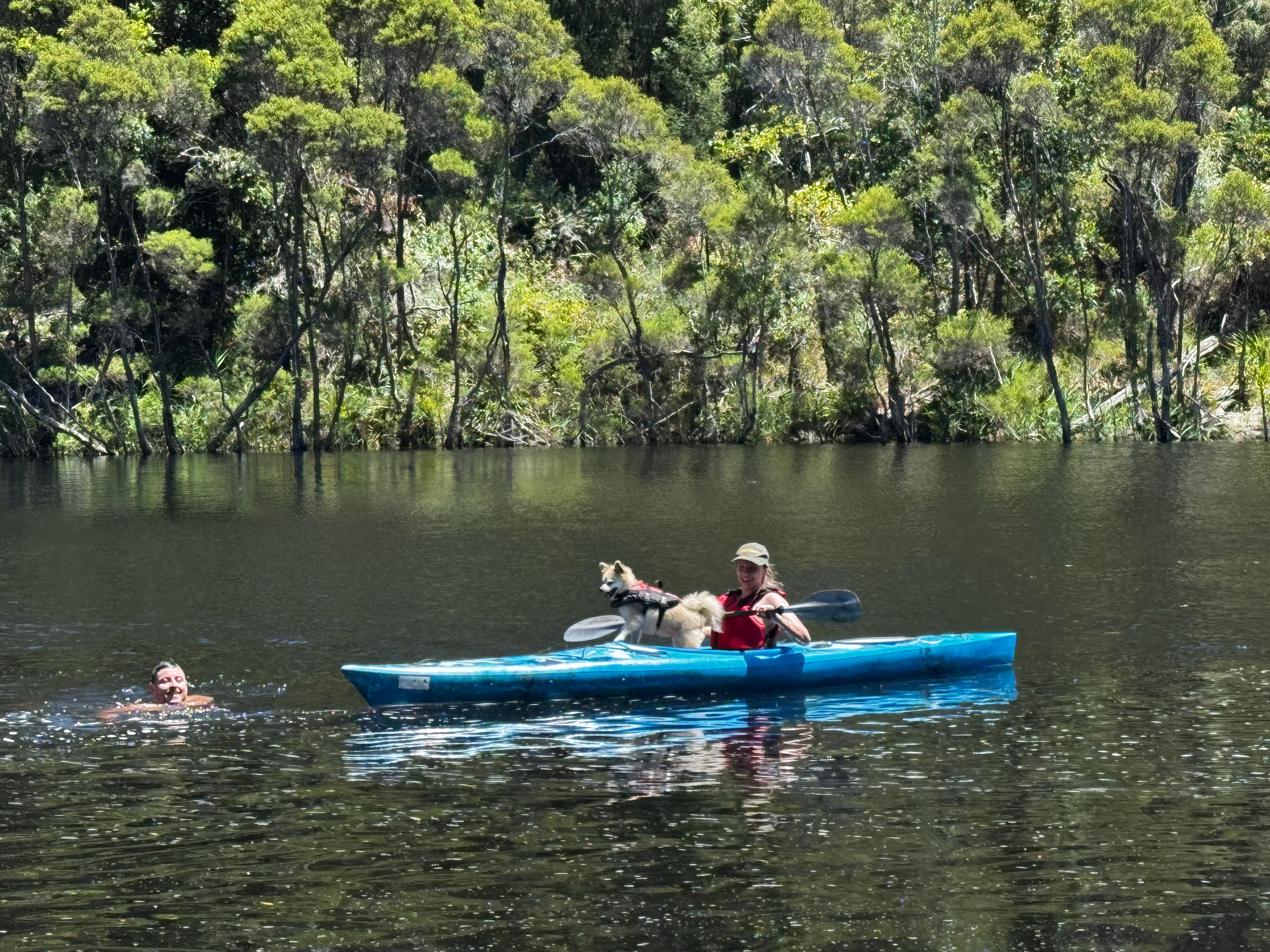 The Old Blackwood Mill