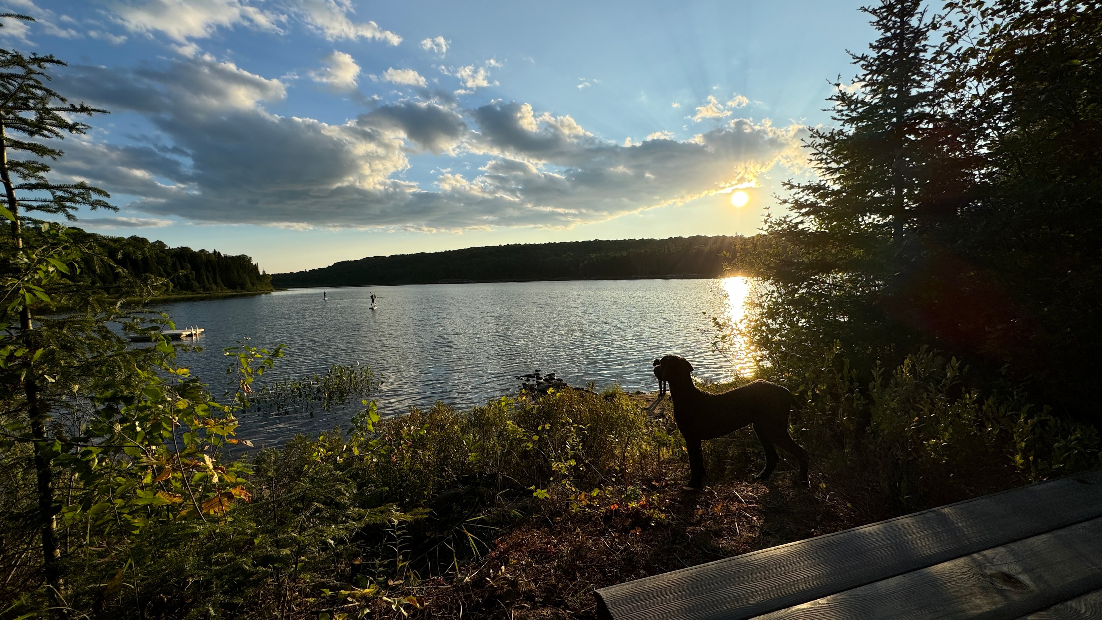 Onyx's Haven: Off Grid Log Cabin