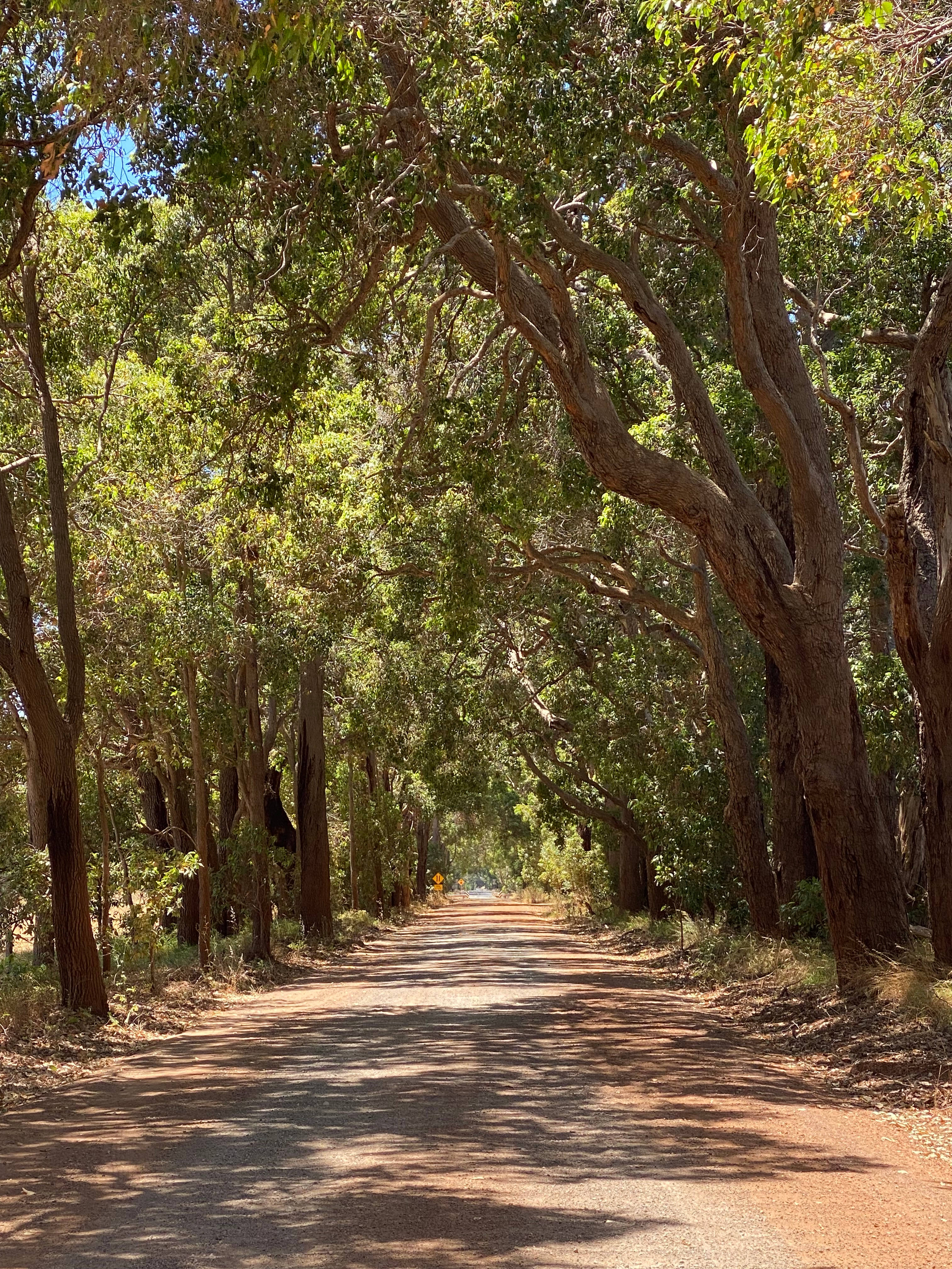 The road in is picturesque, crossing a waterway, but it can be a bit bumpy at times. 