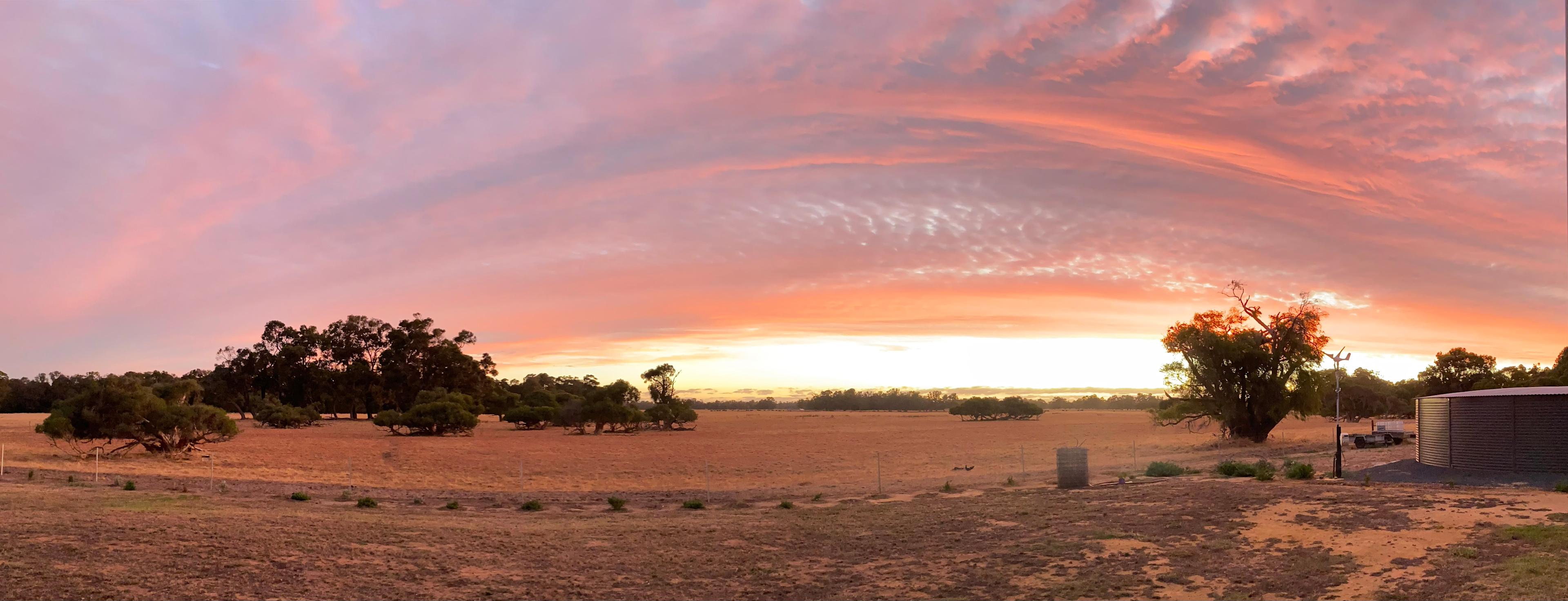 Rural peace in Vasse, Busselton