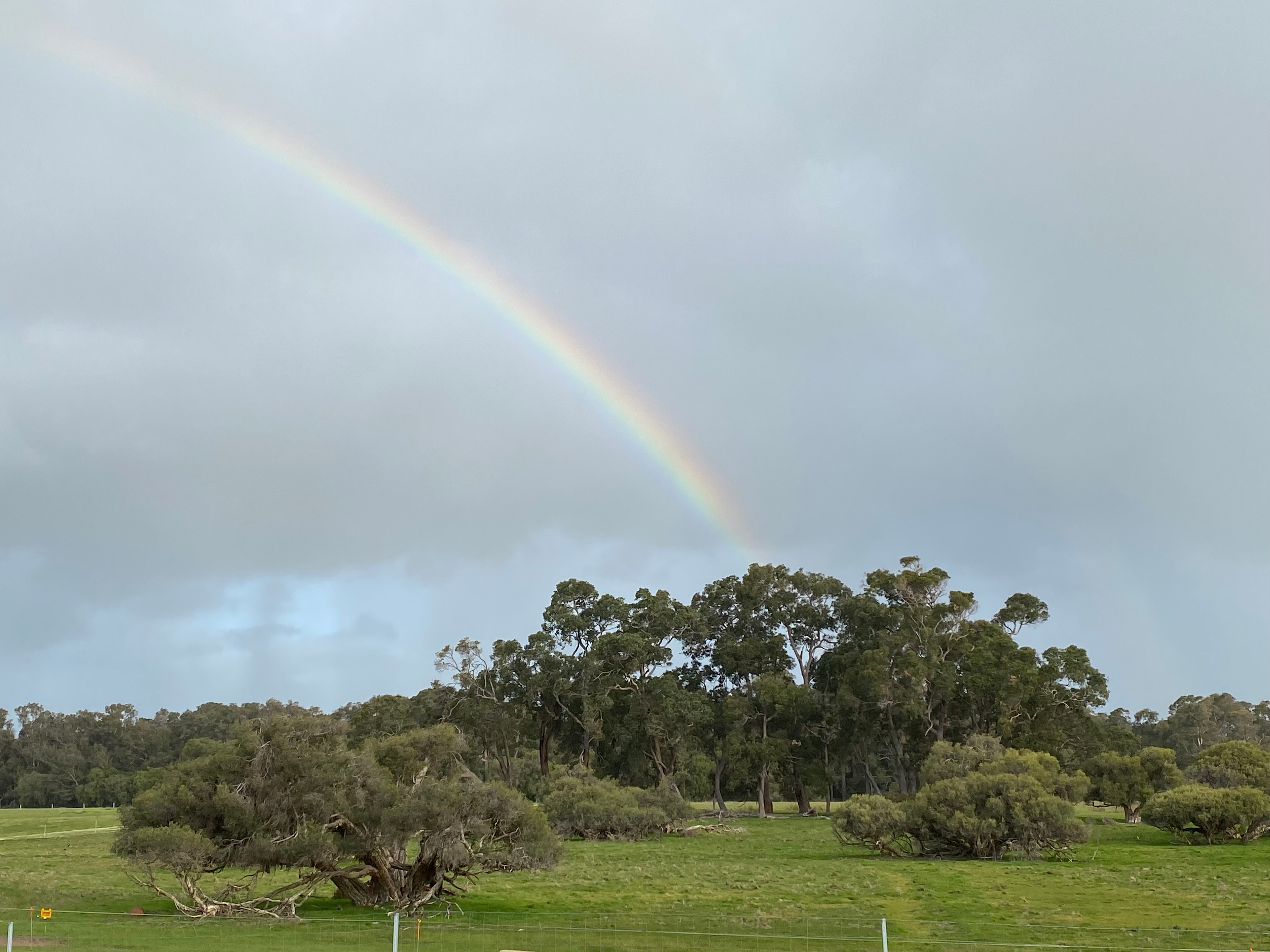 Gorgeous rainbows span our skies, providing wonderful photo opportunities. 