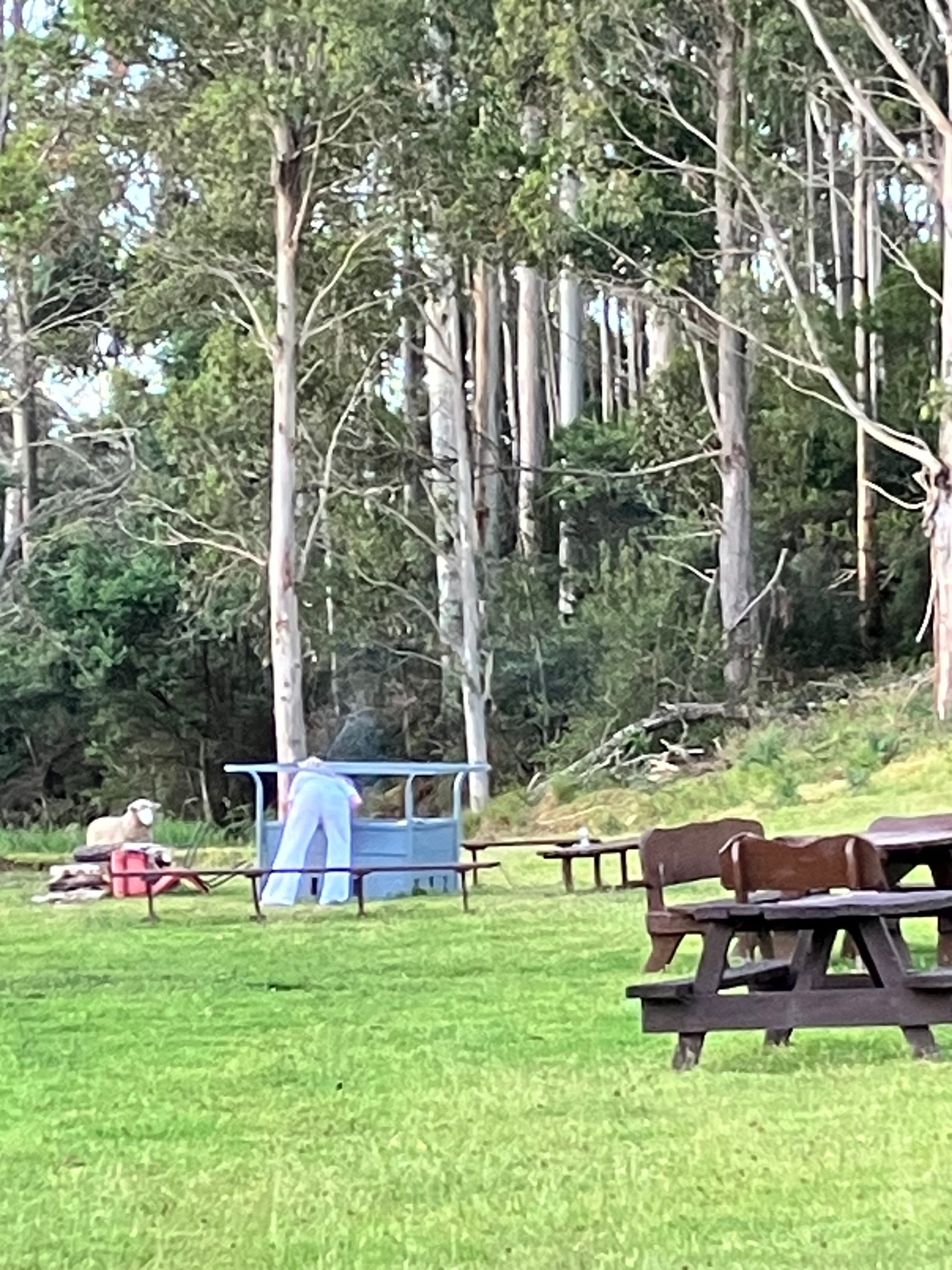 Camping in the Paddock Wilmot