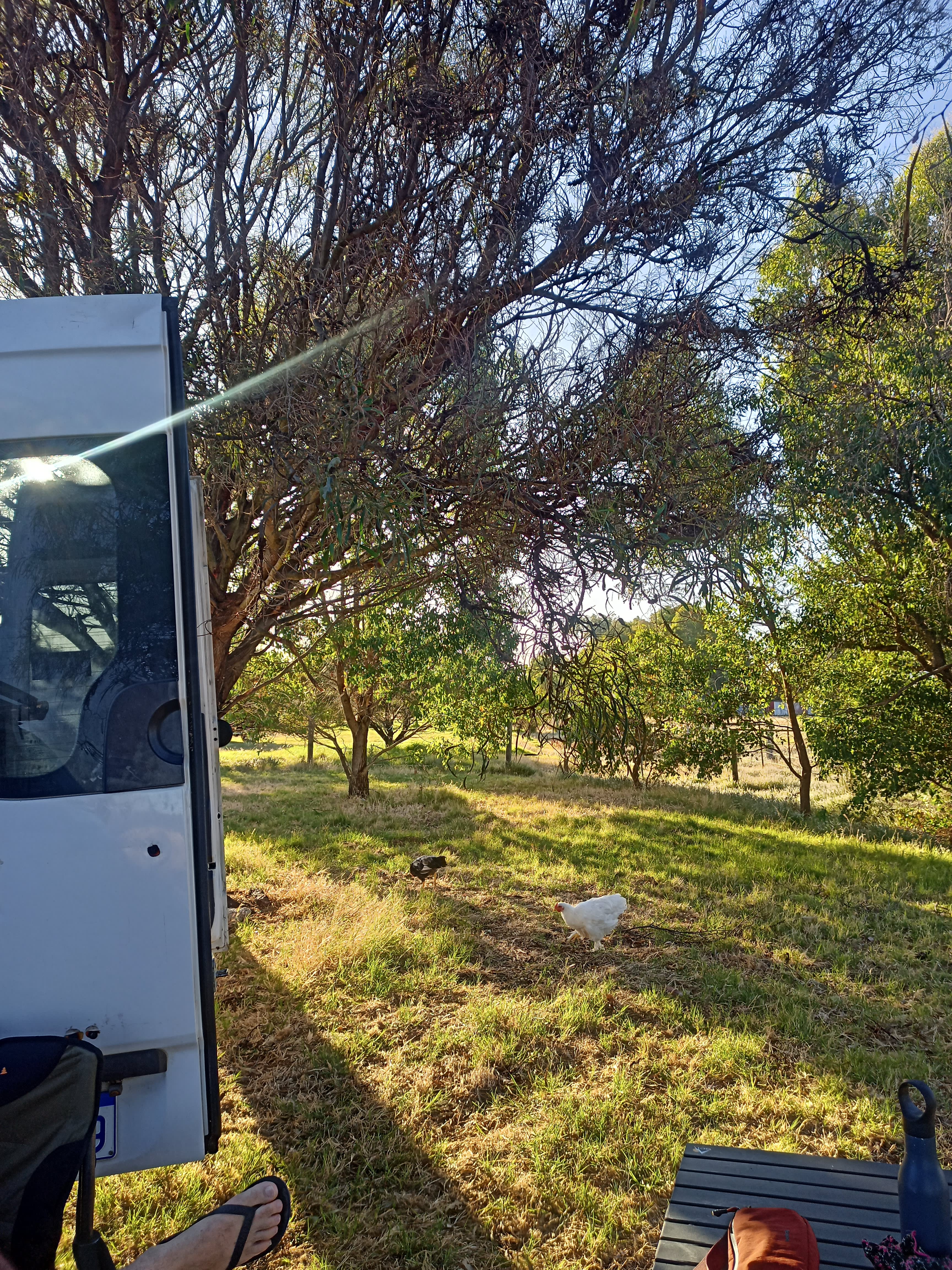 Freedom Farmstay - Baldivis Rural