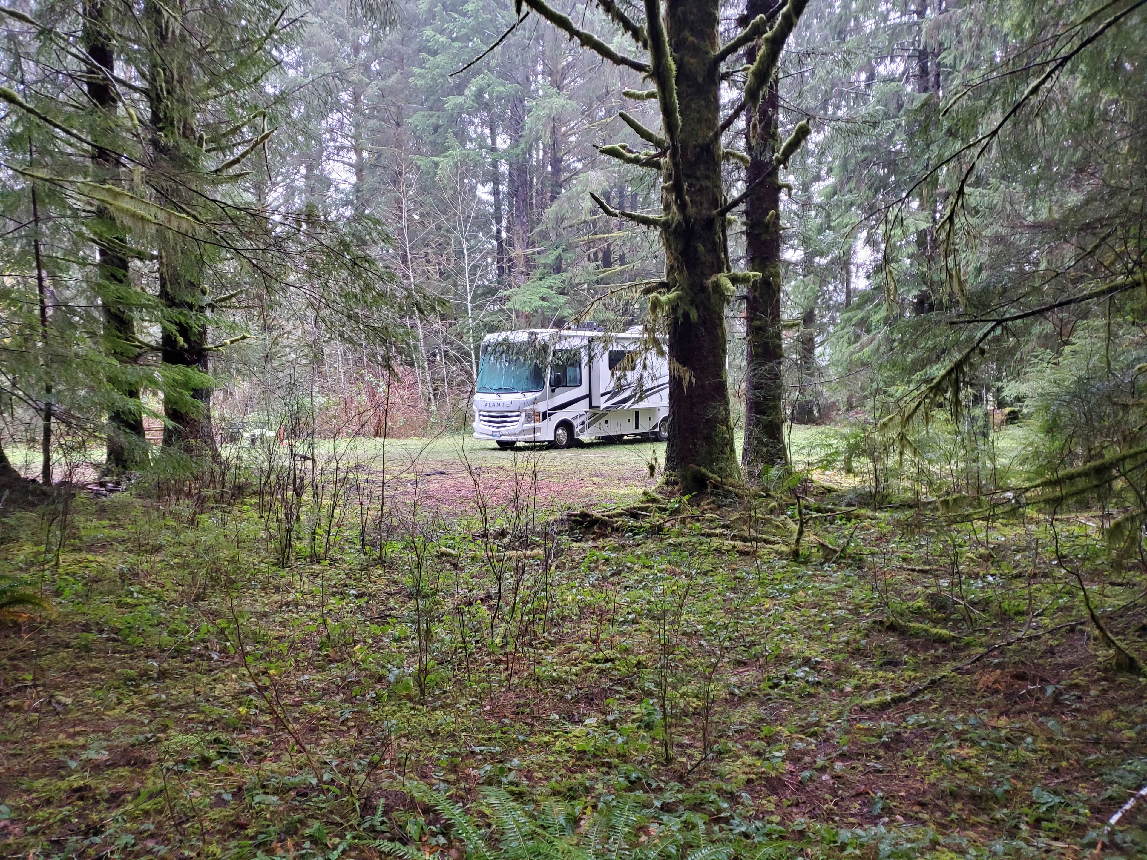 Our RV parked in the site.  There are 2 full hook ups, 1 one on either side of the site