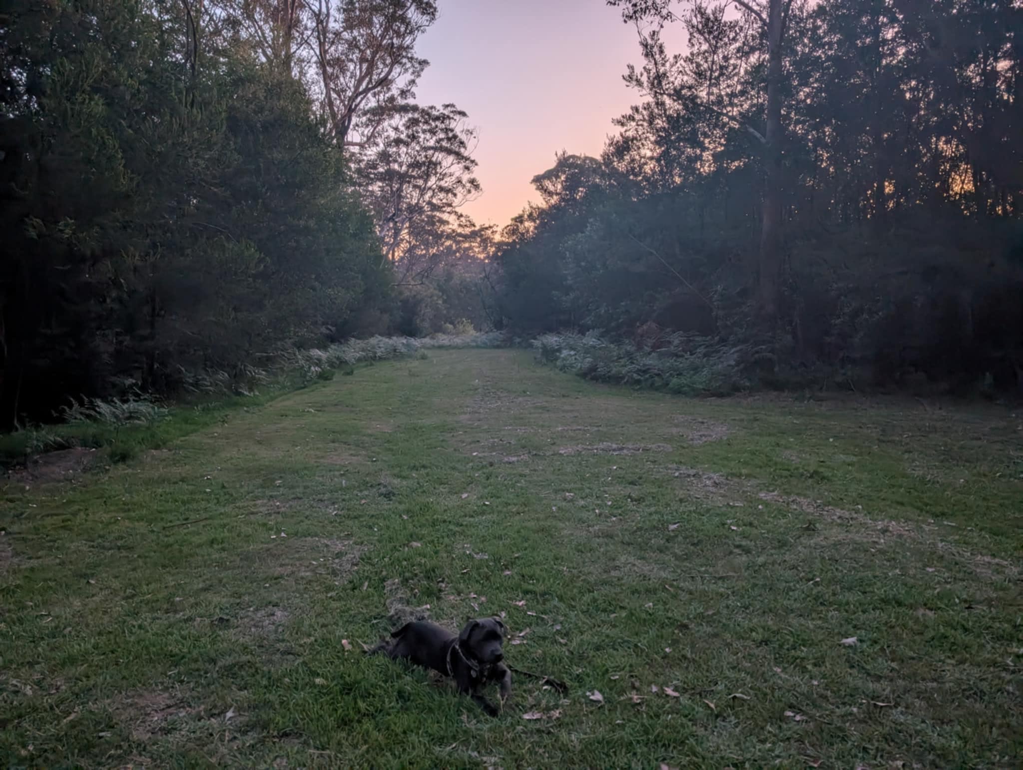 Fat Lamb Farm Camping