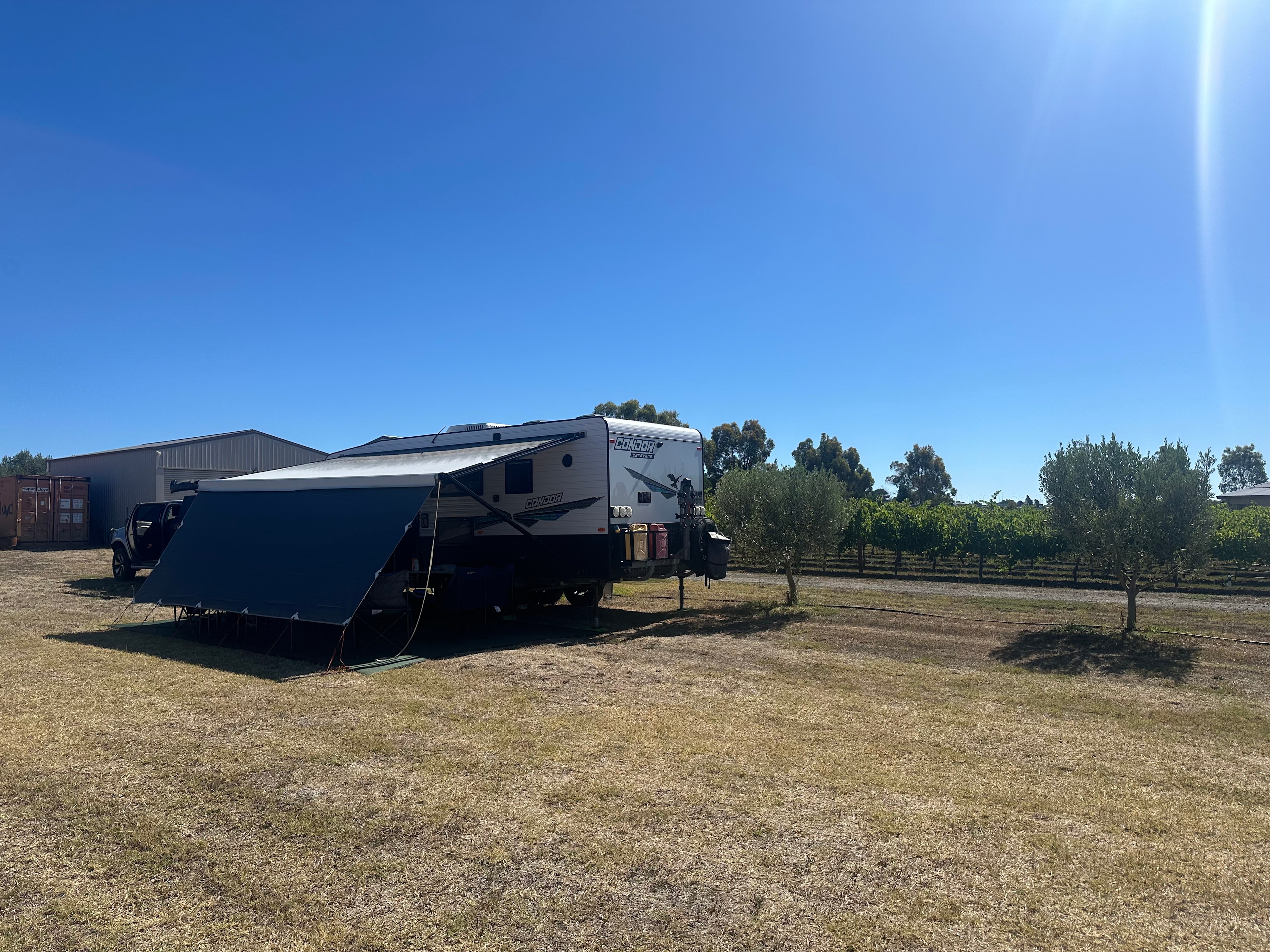 Six Strings - McLaren Vale Vineyard