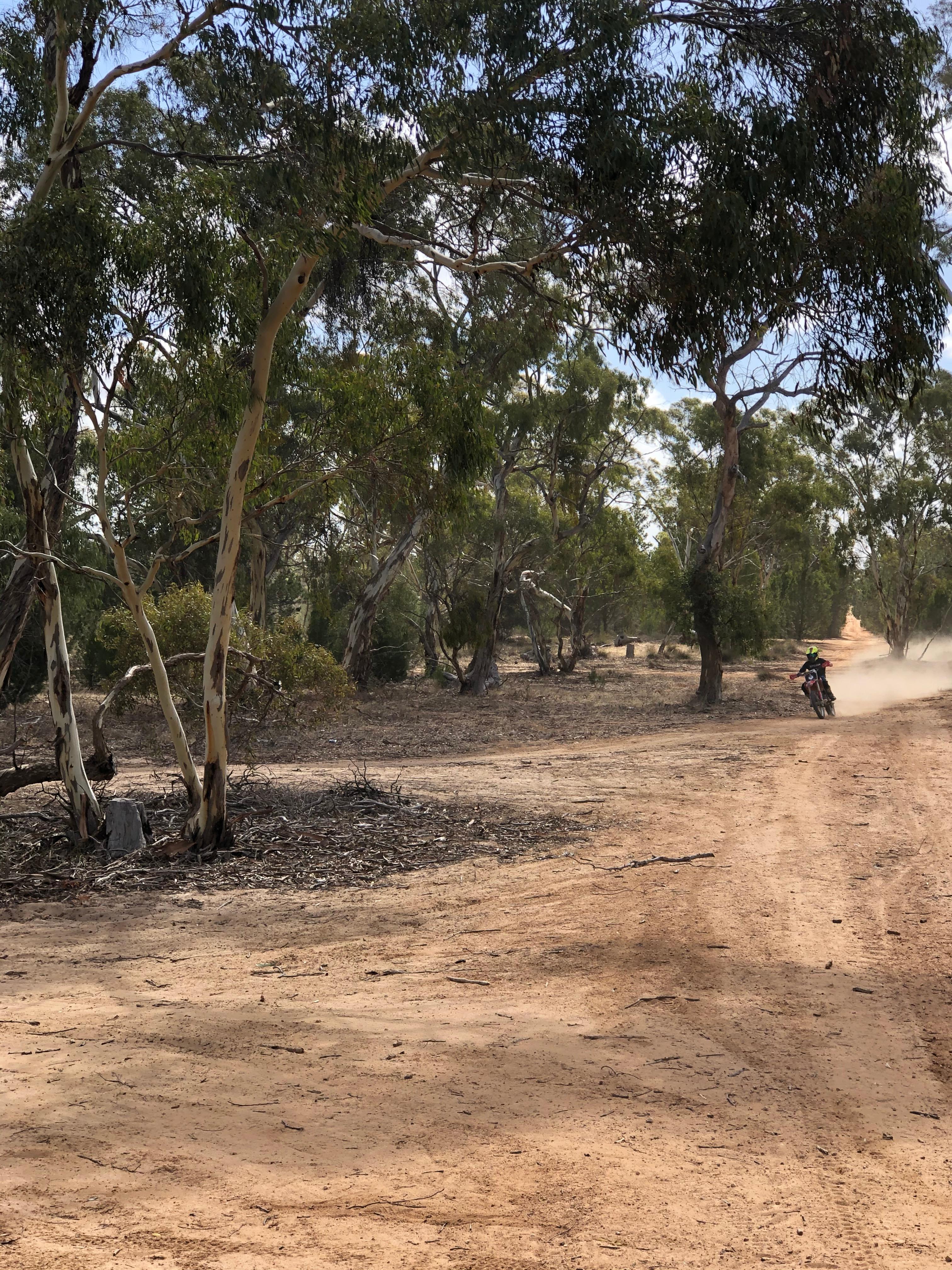 Stringybark Camp