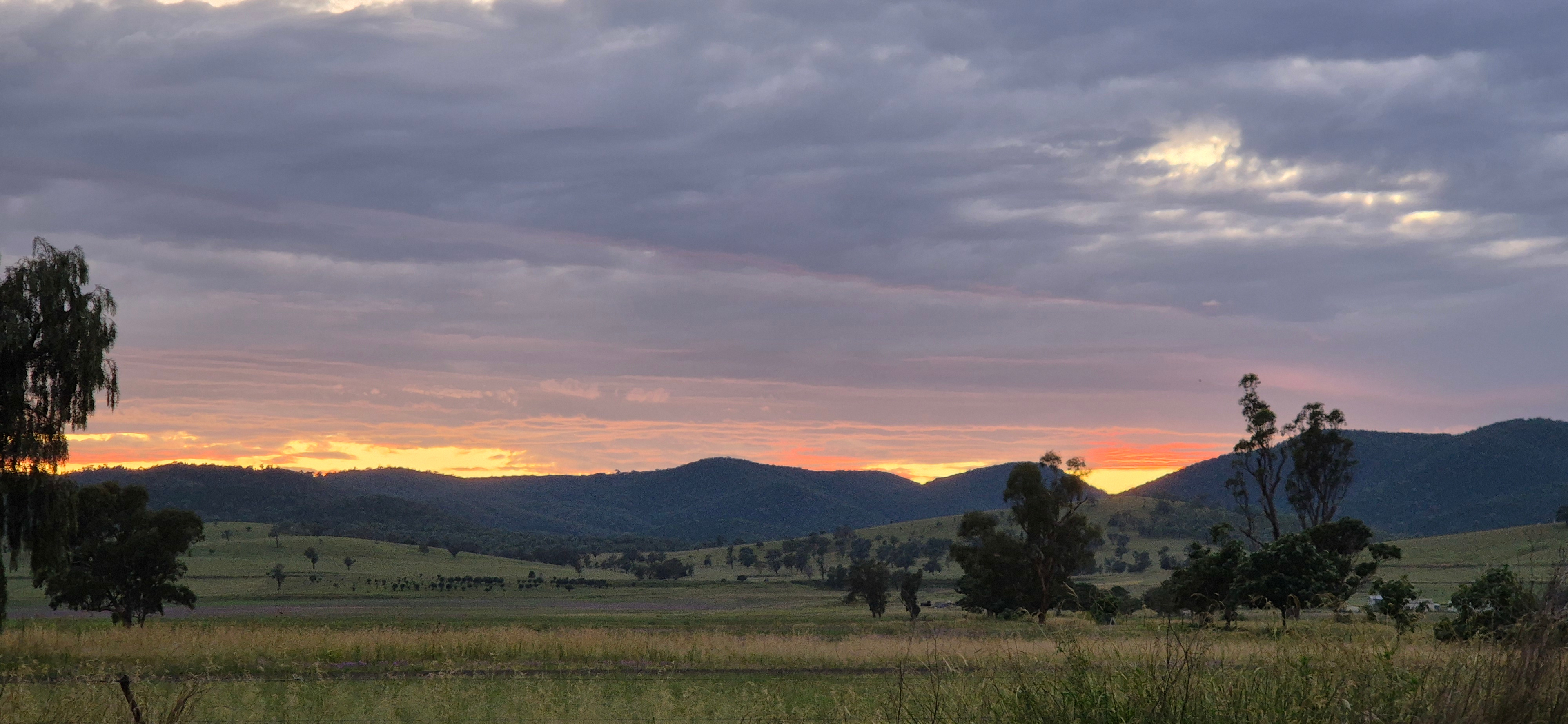 Newfarm ('Saliet') Bonshaw area NSW