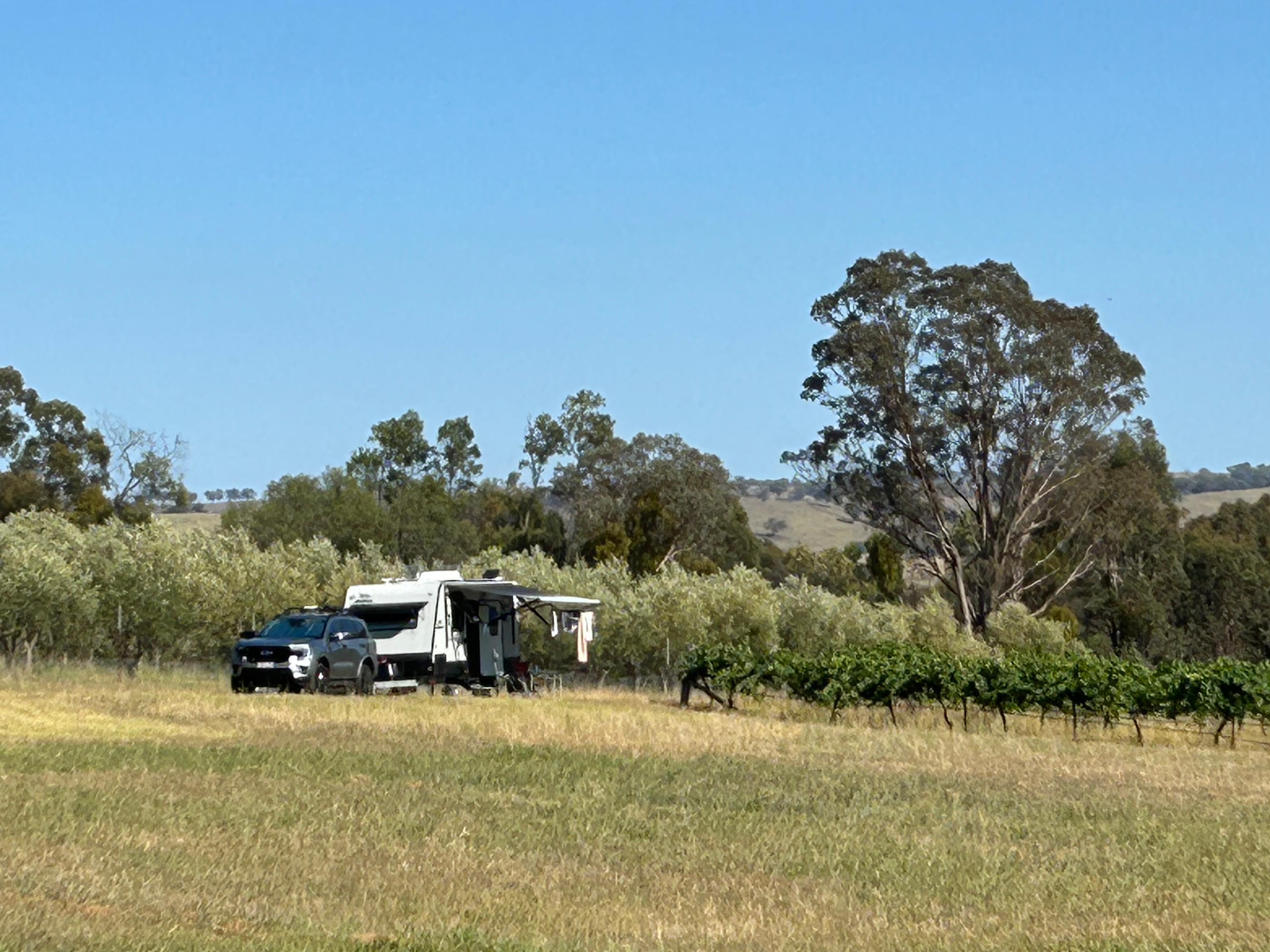 Vans in the Vines @ Lazy Oak Wines