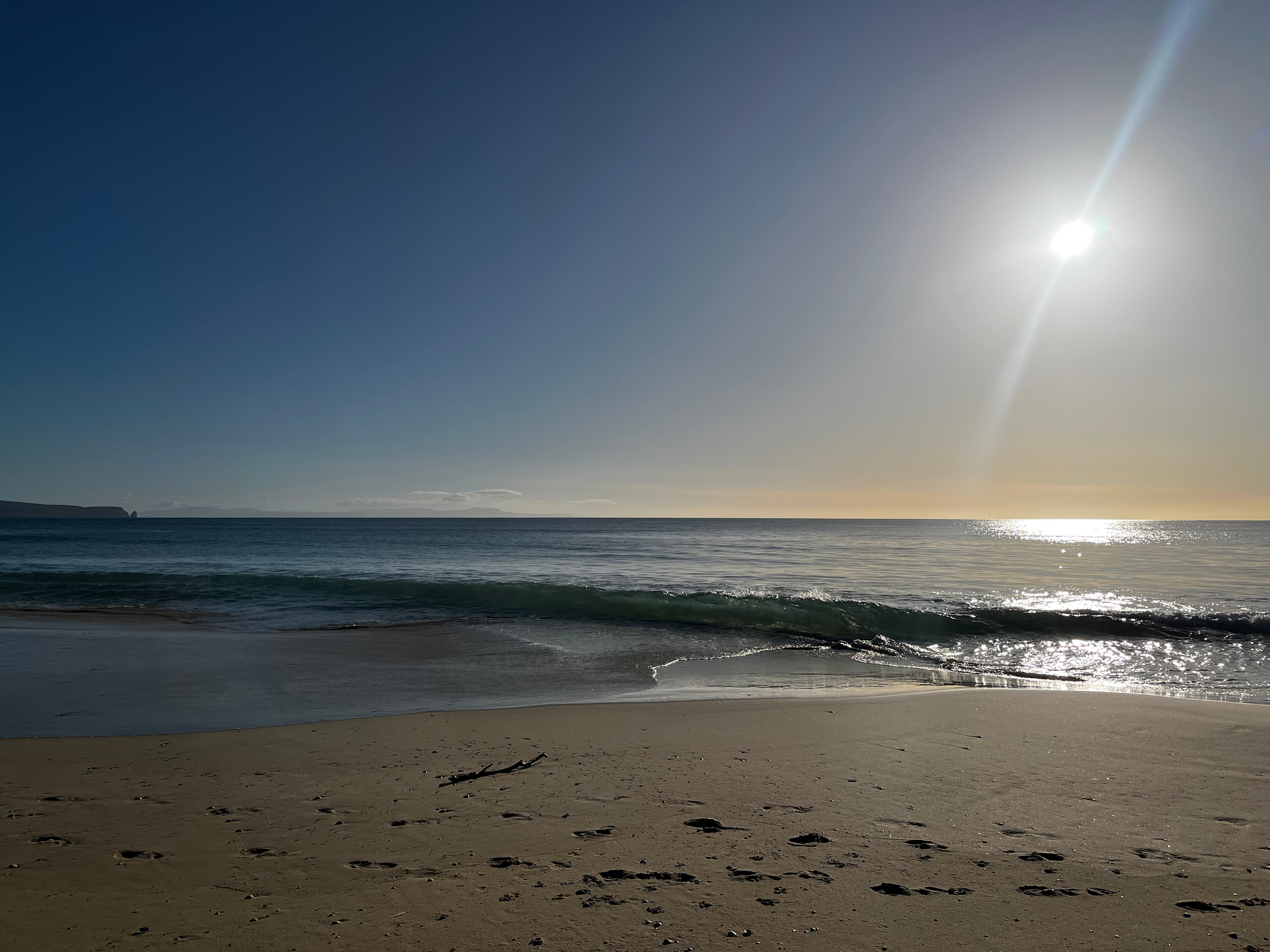 Bruny Island Long Neck