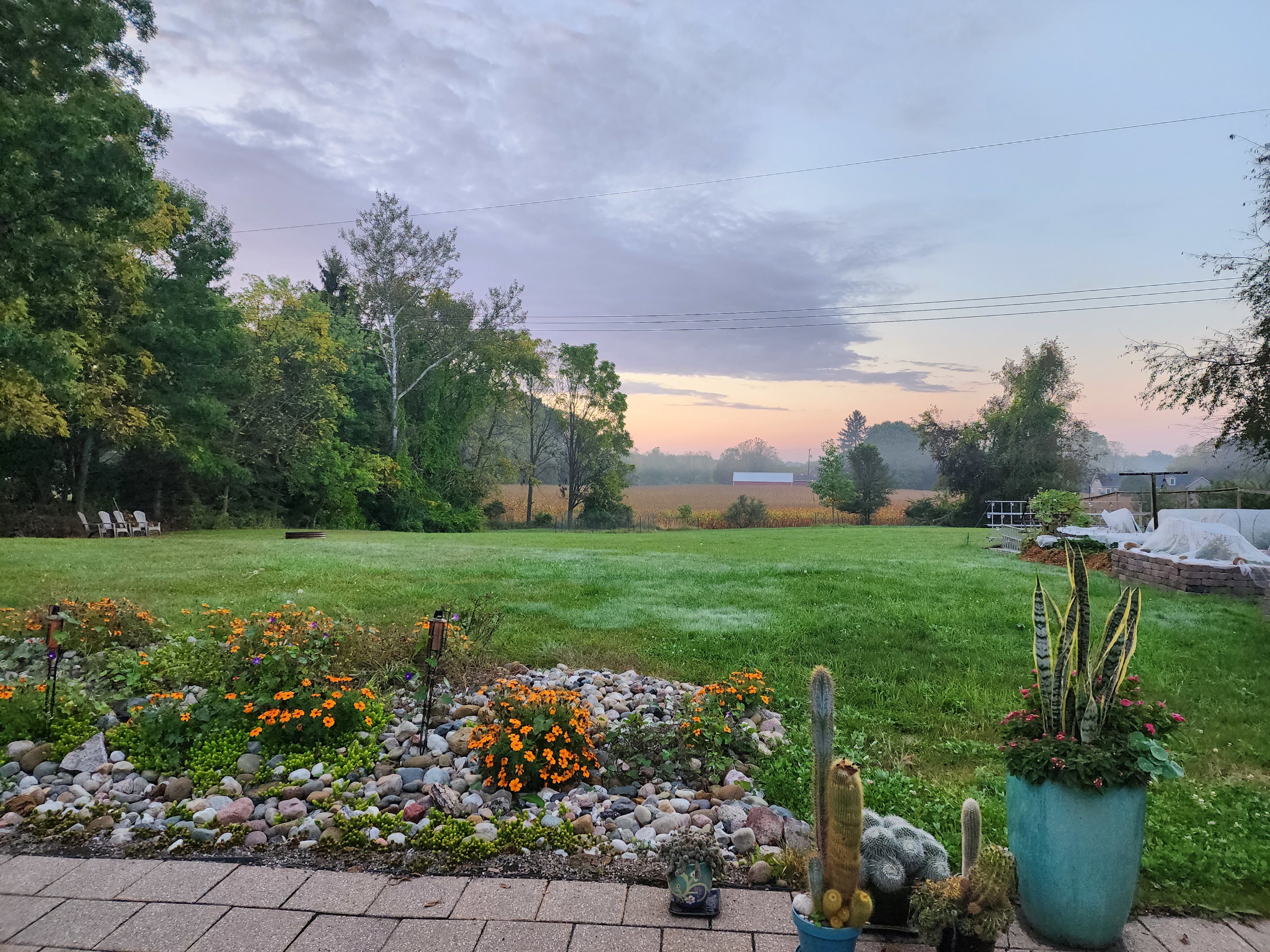 Urban Oasis  (adults only; no pets)