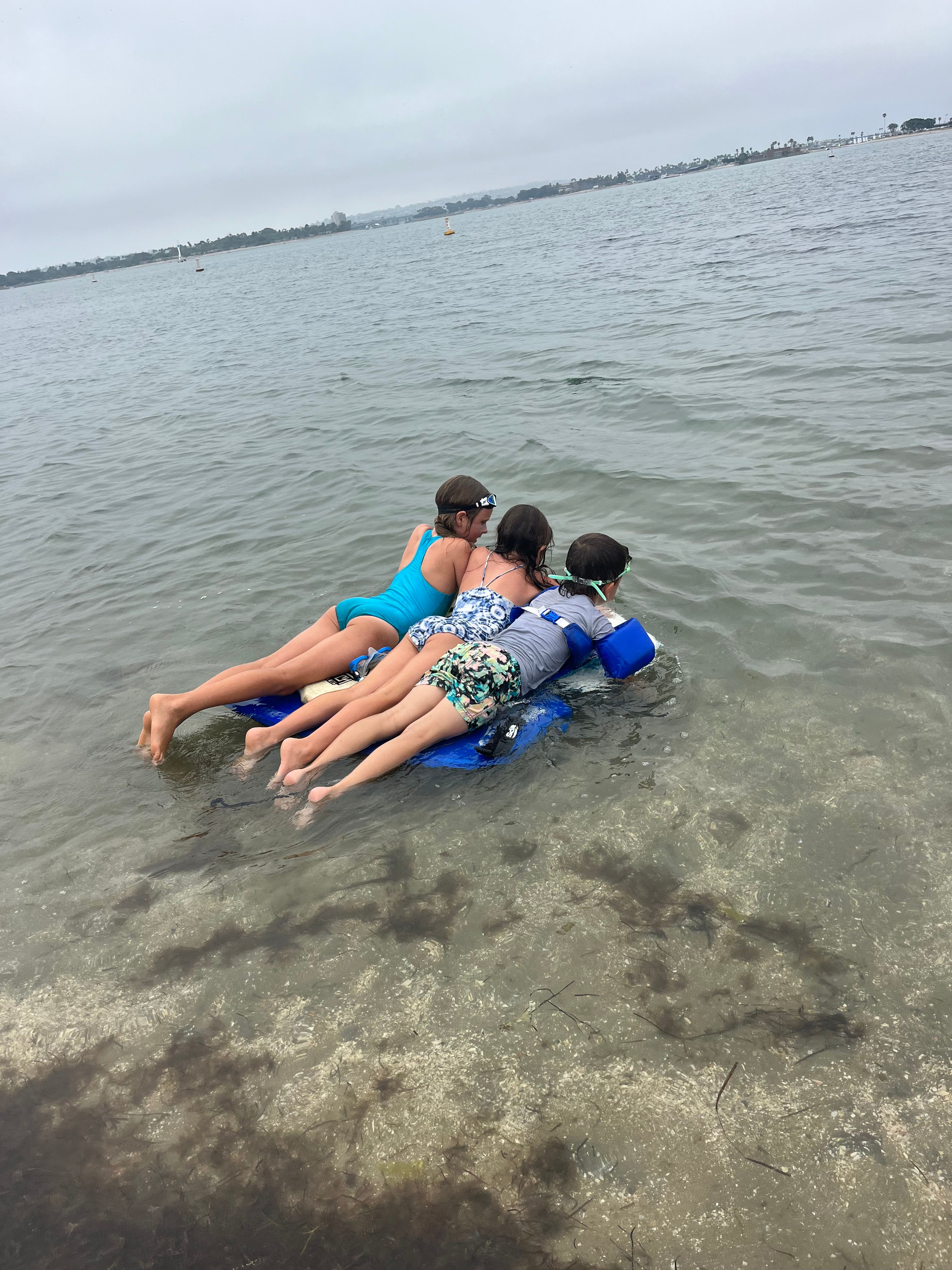 Cottage Garden By The Bay