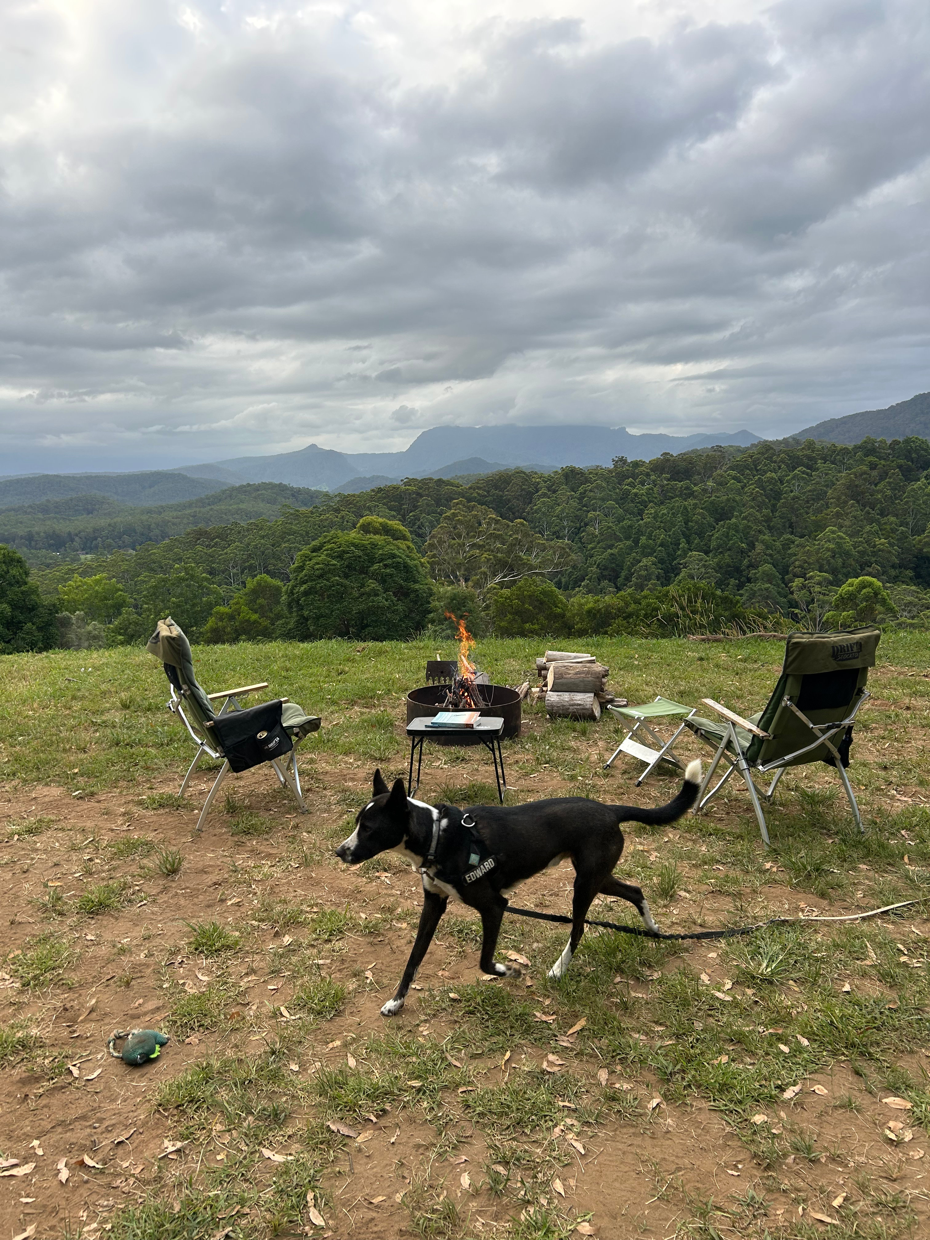 Great views of Mount Warning