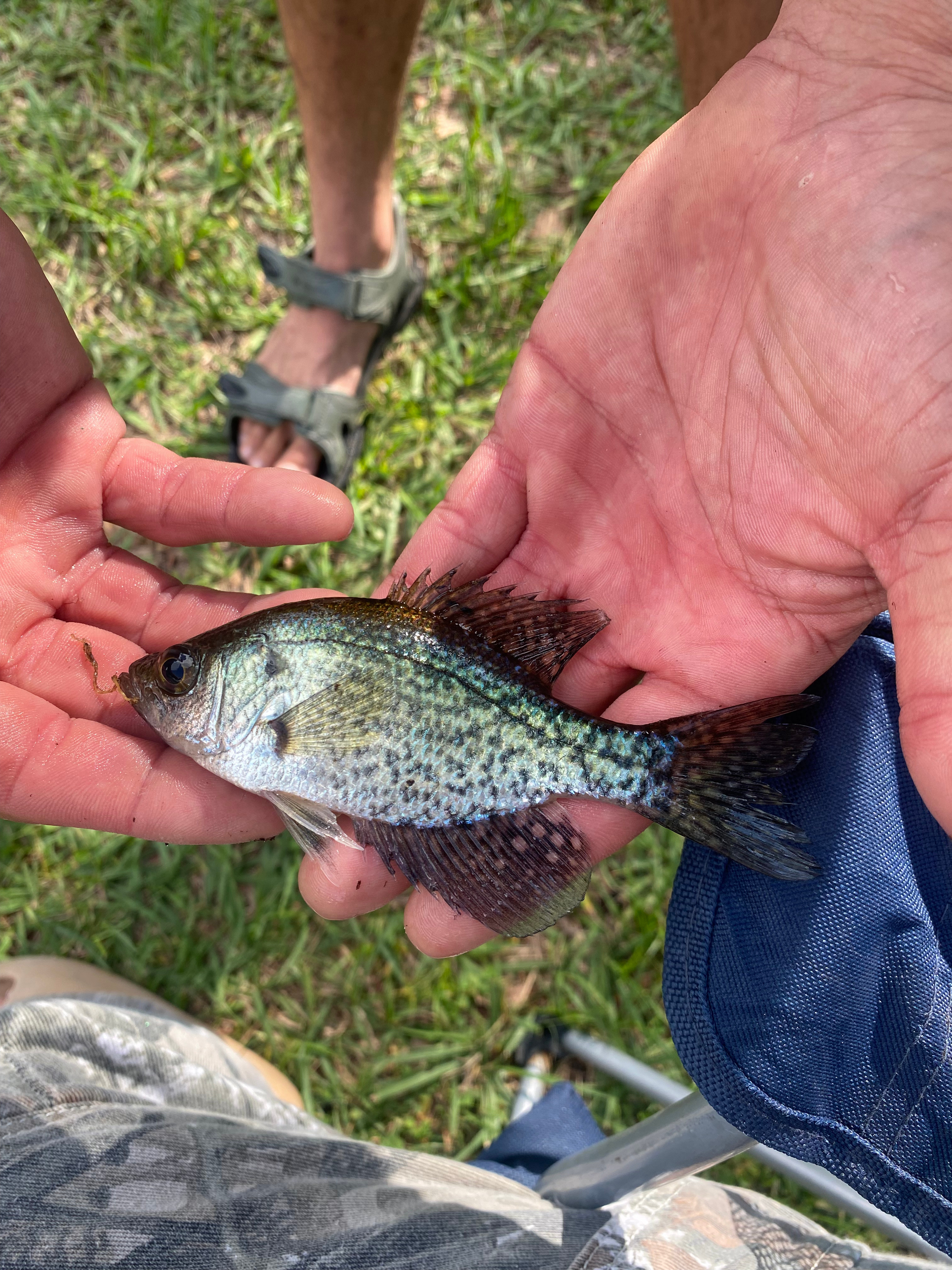 Park~like open setting w/lake view
