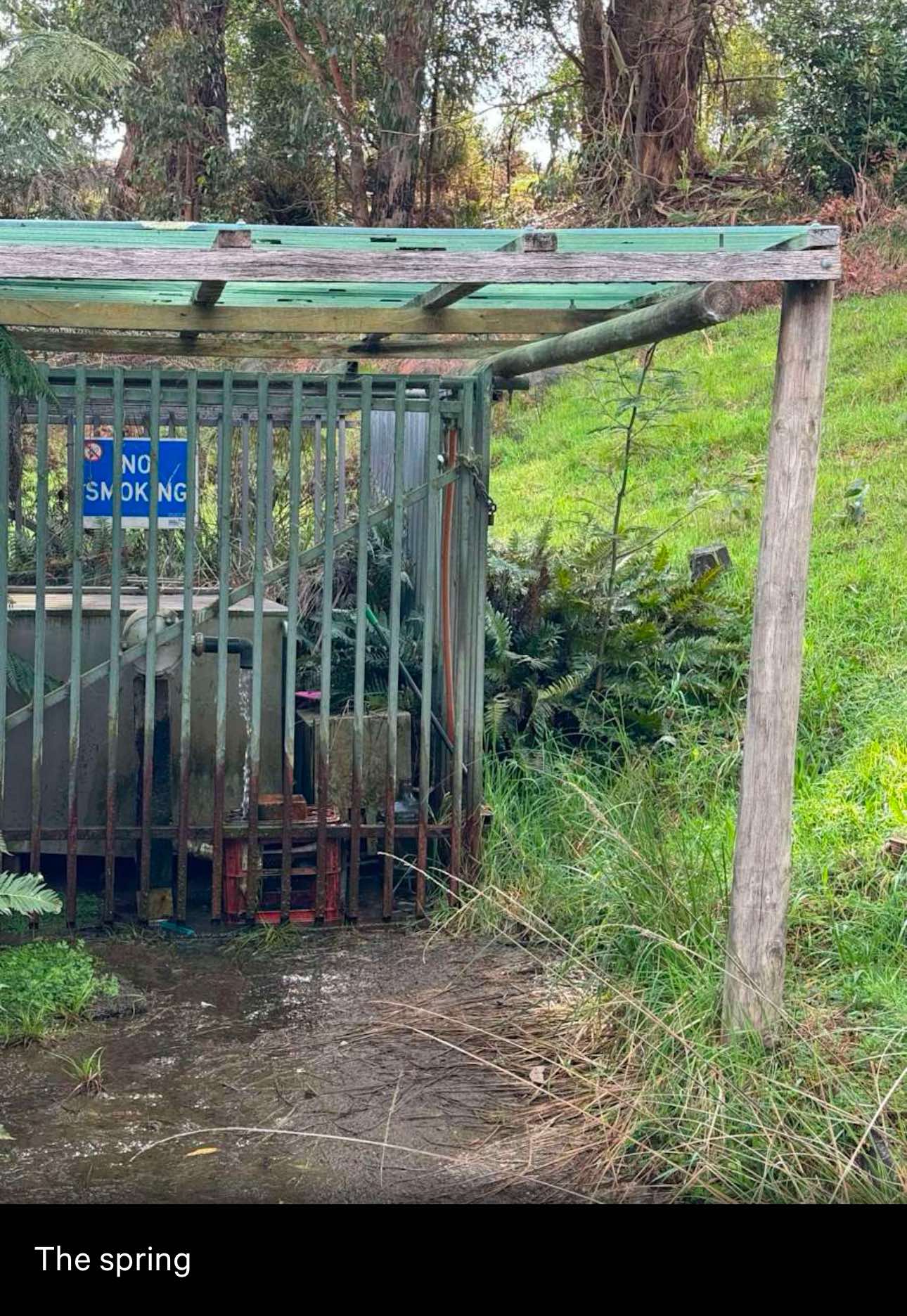 Gate is locked at all times. You can fit a drink bottle through gate.