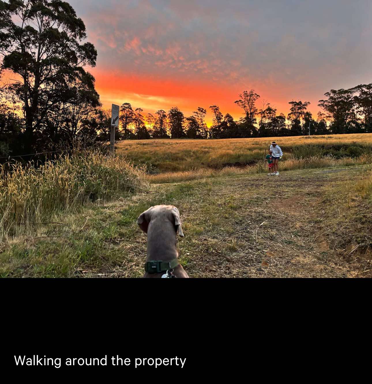 Mountain Spring - Off Grid