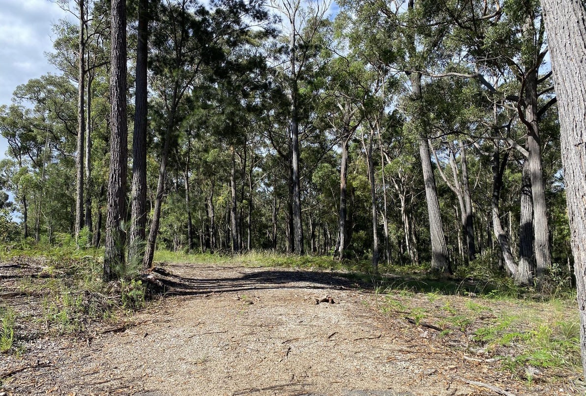 Silvertop Ash Bush Block
