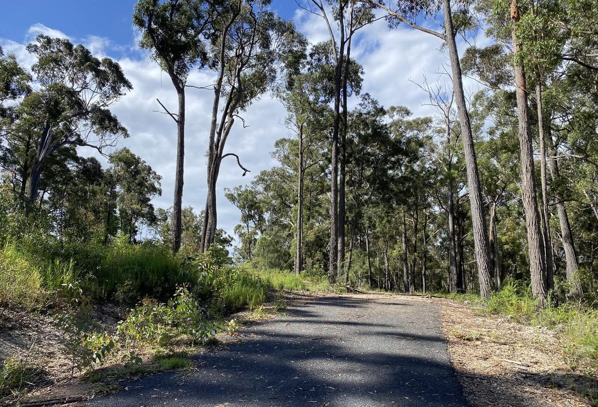 Silvertop Ash Bush Block