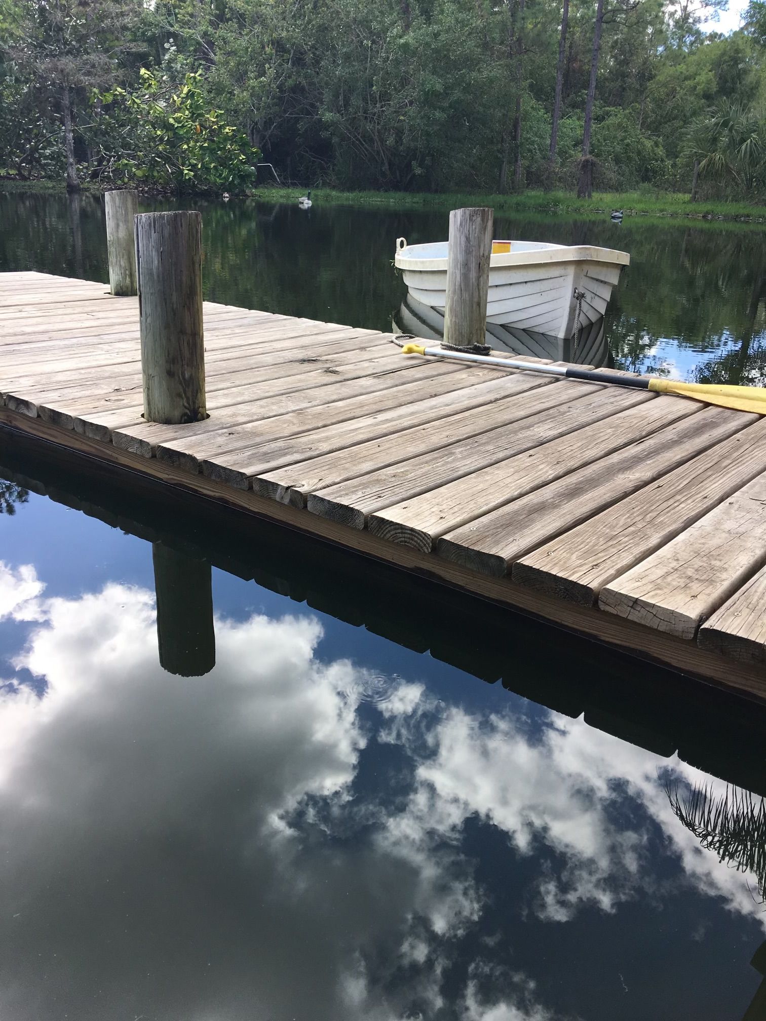 Jungle Bloom RV & Camping Escape