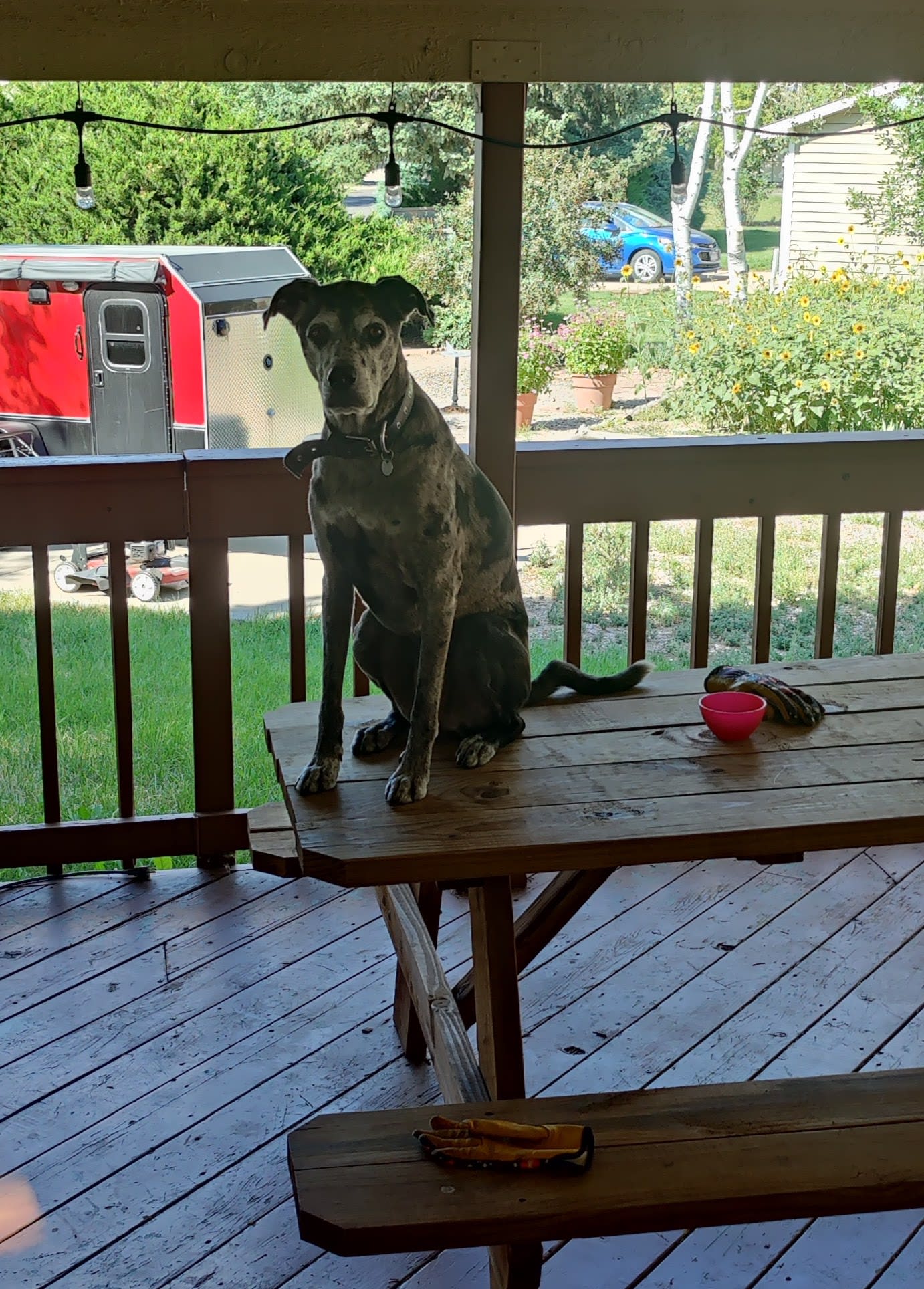 Paved RV Space Close To I-25!