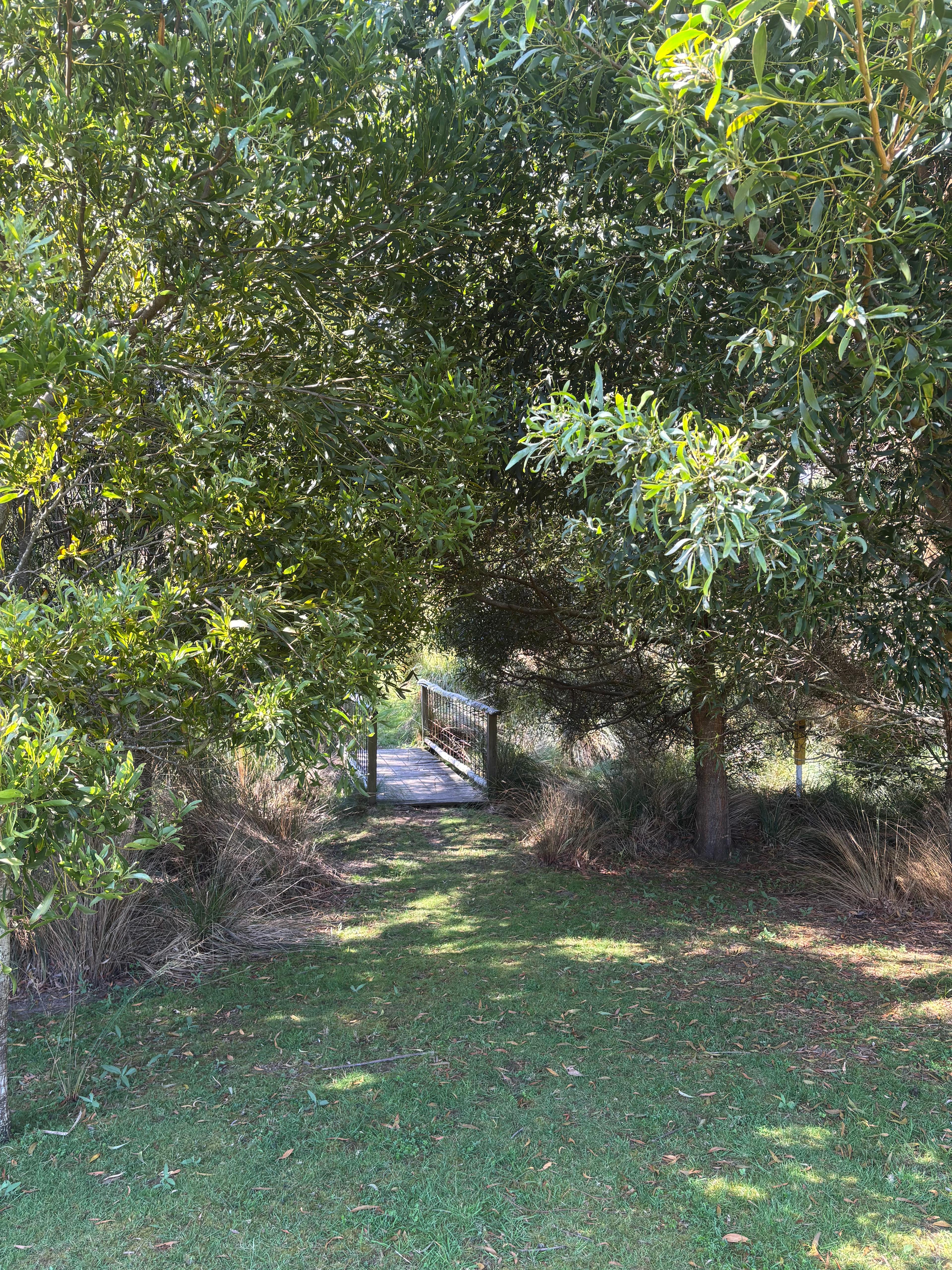 Myrtle Bridge - look out for trout in Resolution Creek and smile at the beautiful lichen-covered railing.
