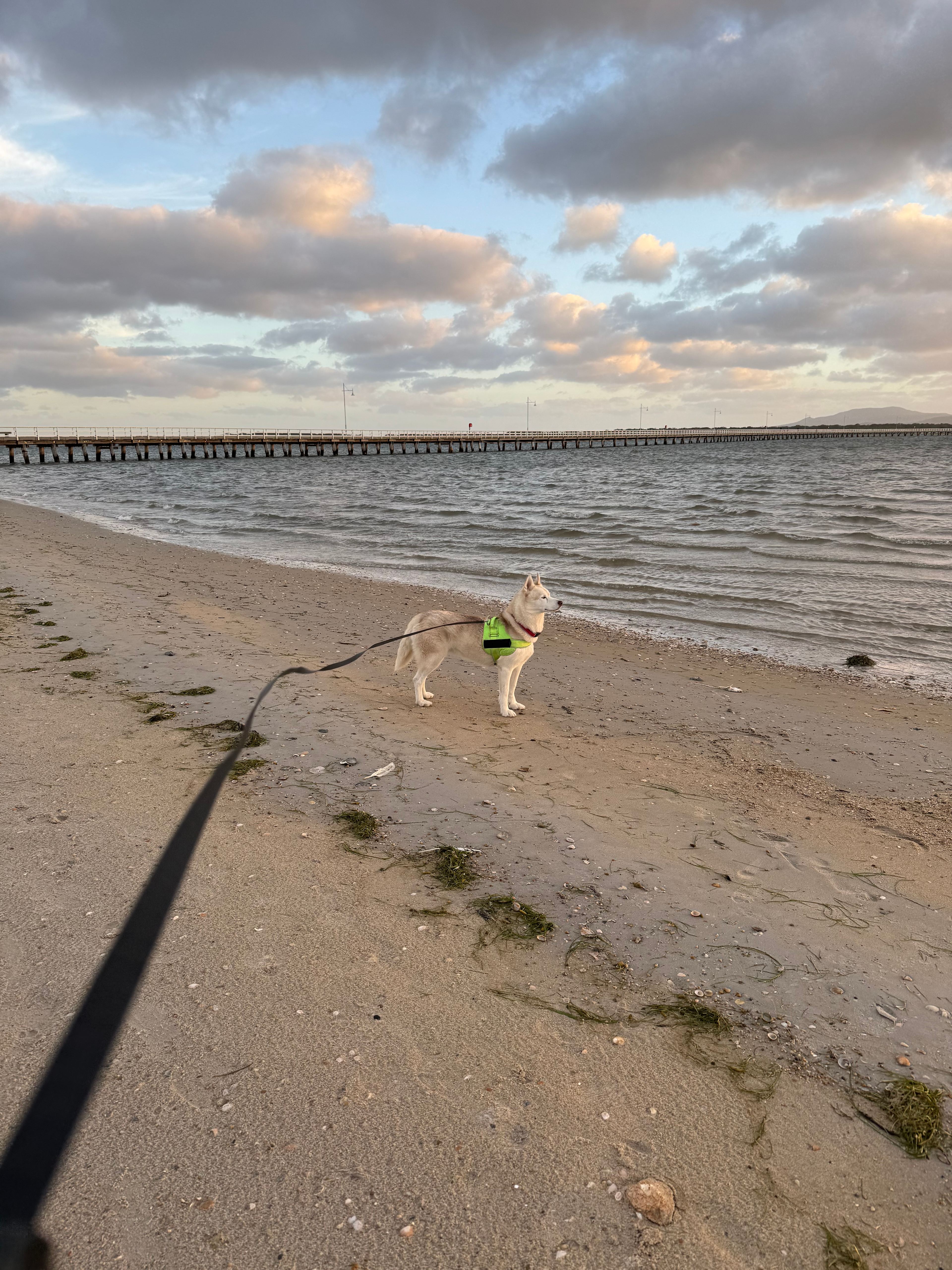 BIG4 Long Jetty Caravan Park