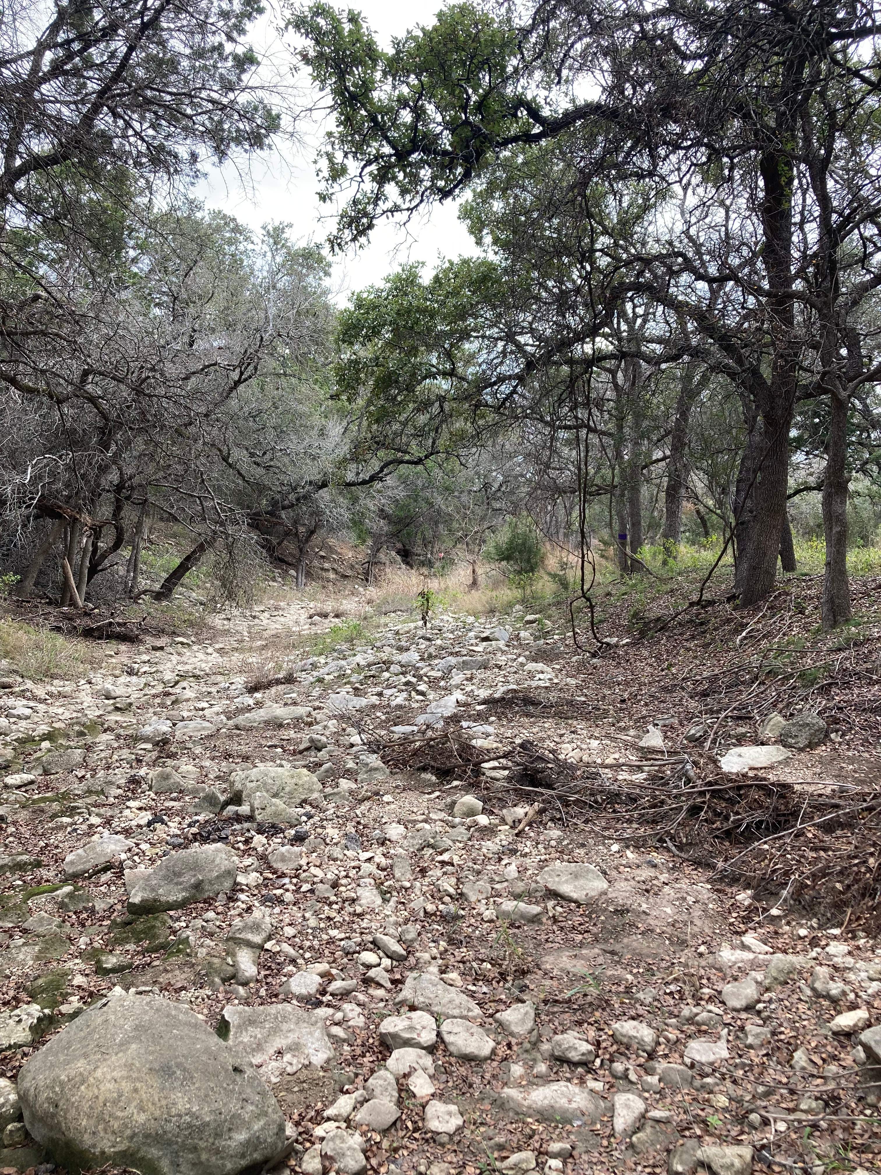 West Sorrow Creek path to Canyon Lake, take a nice hike. 
