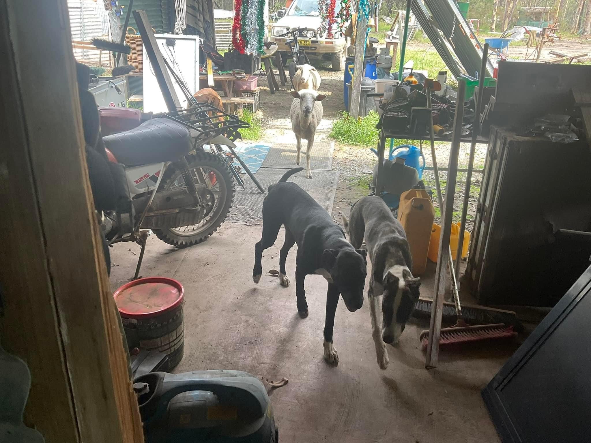 Shark Creek  Bush Camp