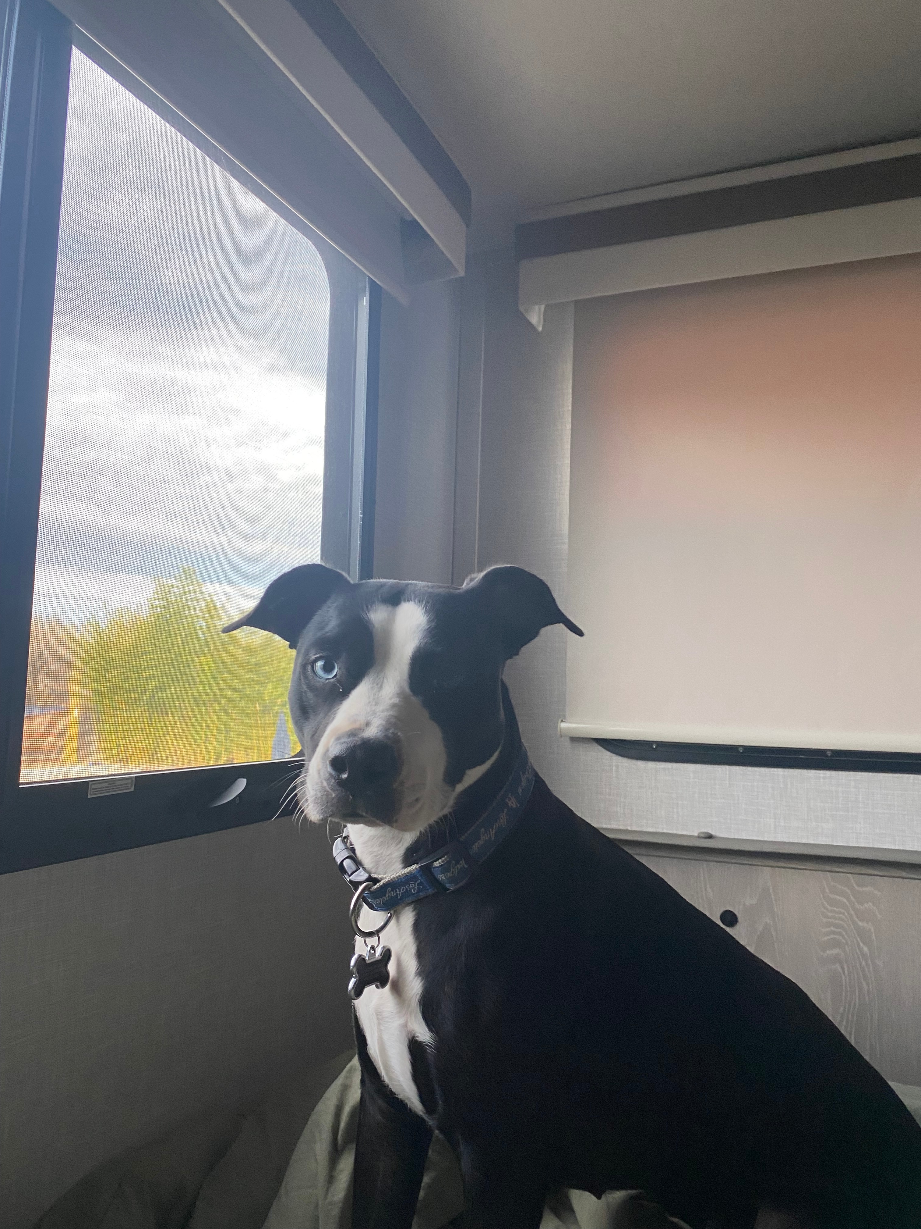 Feather River Ranch+solar pool+spa