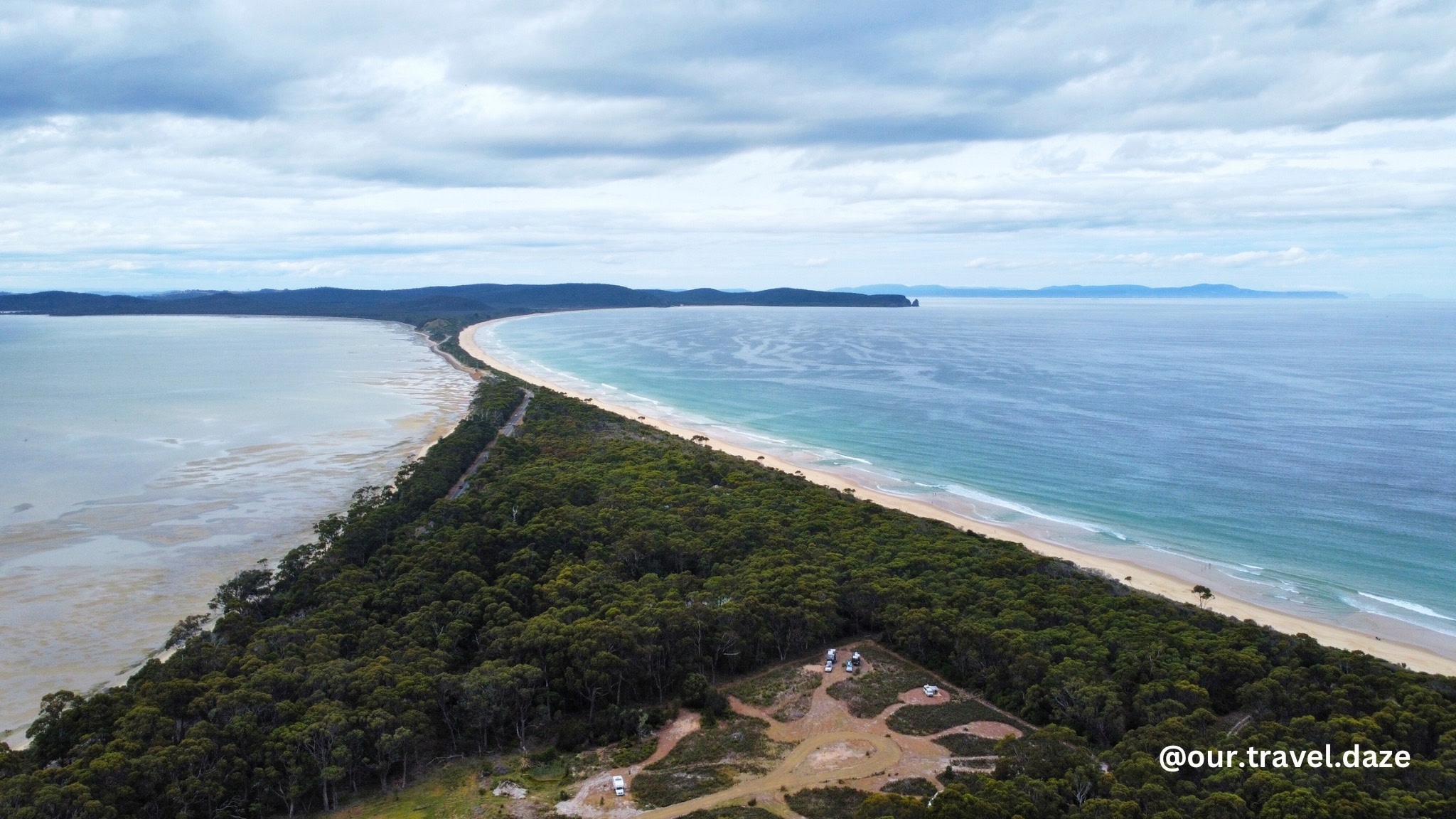 Bruny Island Long Neck