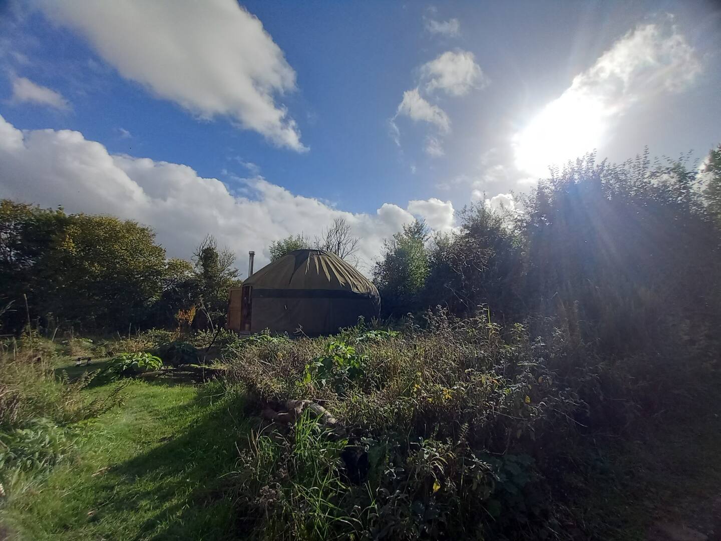 Private Yurt Retreat Rewilded Land