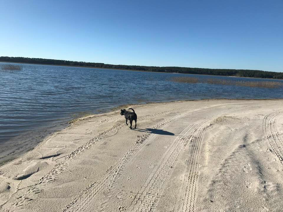 A nice beach in walking distance to Hicks Lake.  