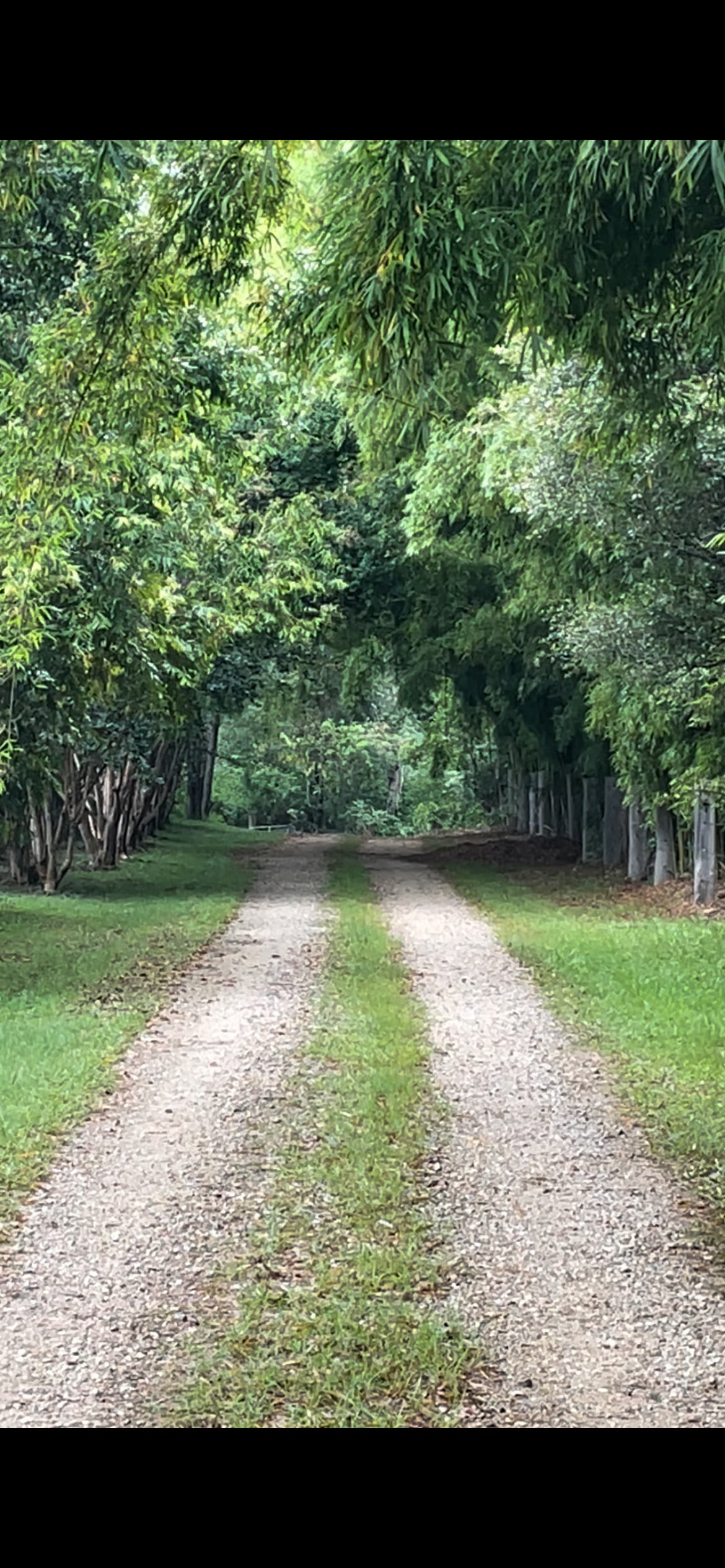 Sarah’s Farm🕊️ 4wd