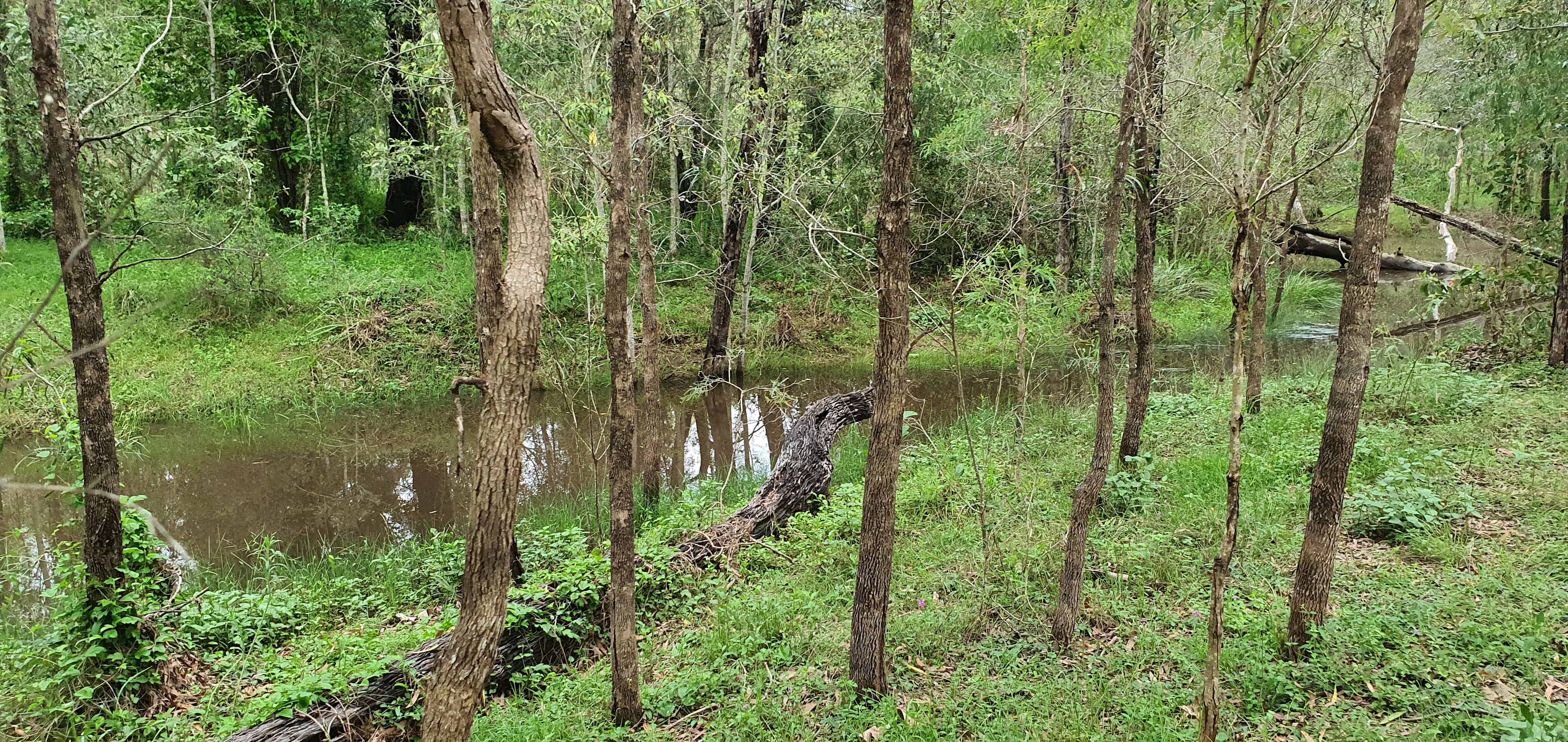 Haigslea Bush Camp