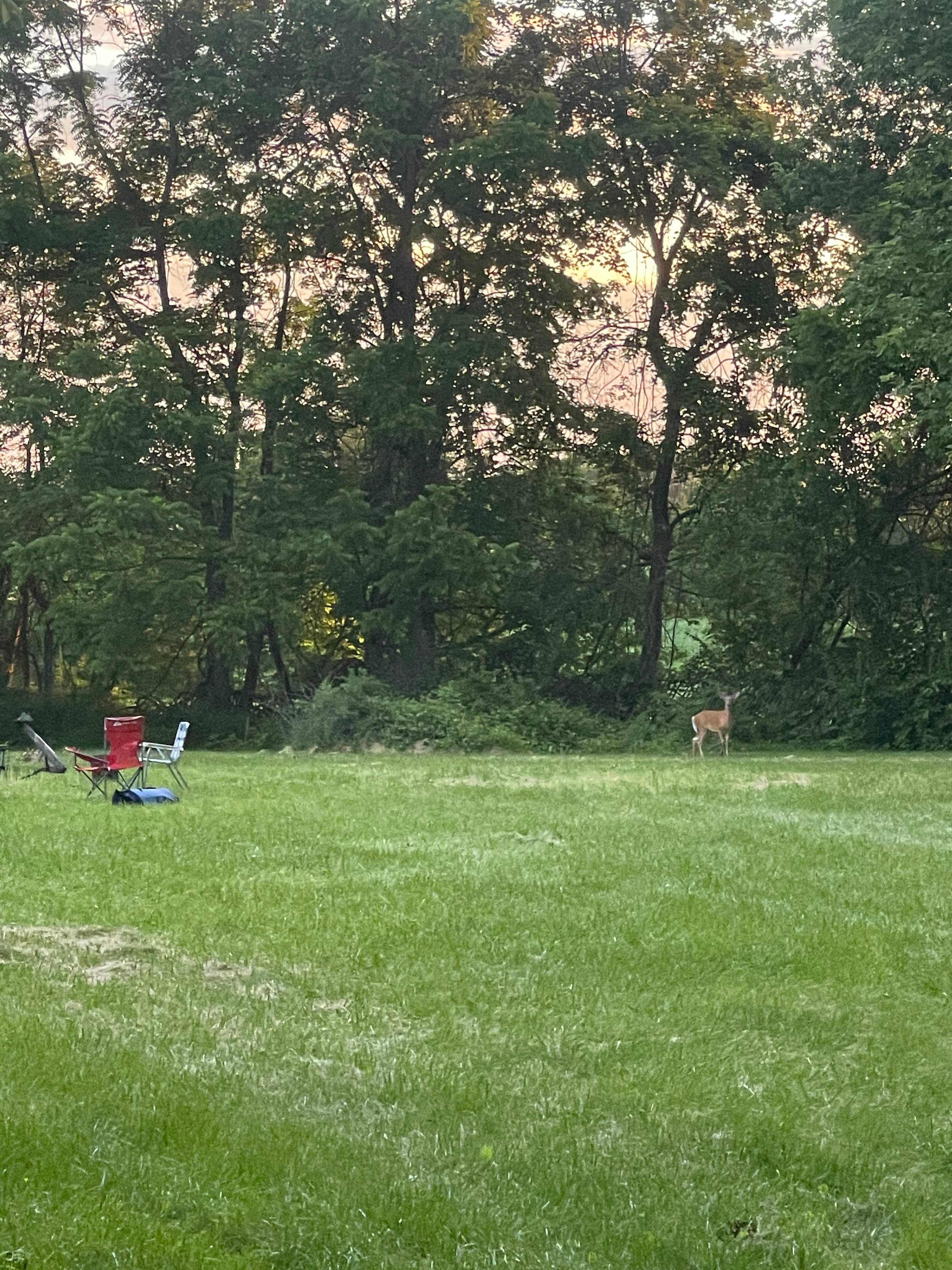 420 Camping